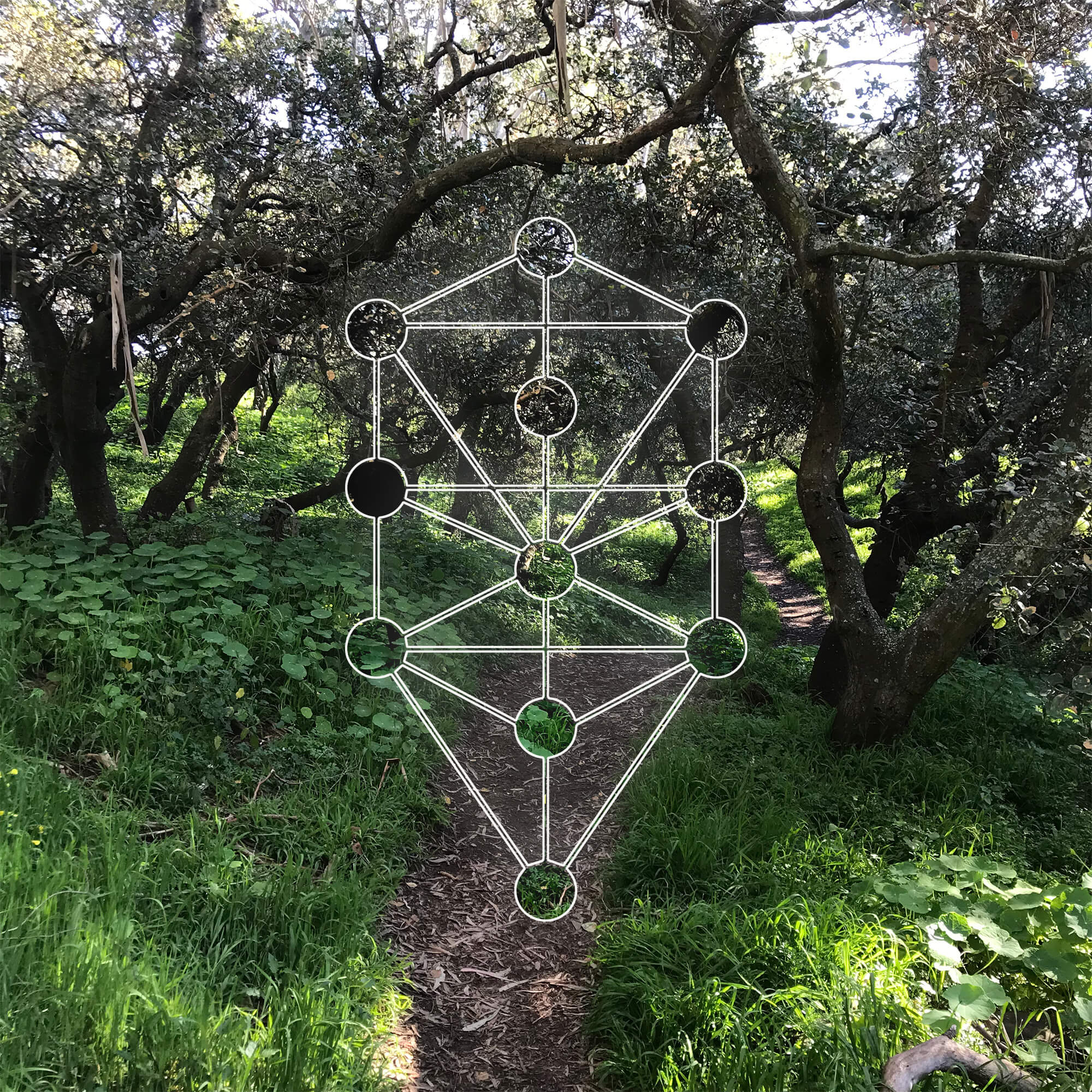 class_kaballah_tree_of_life.jpg