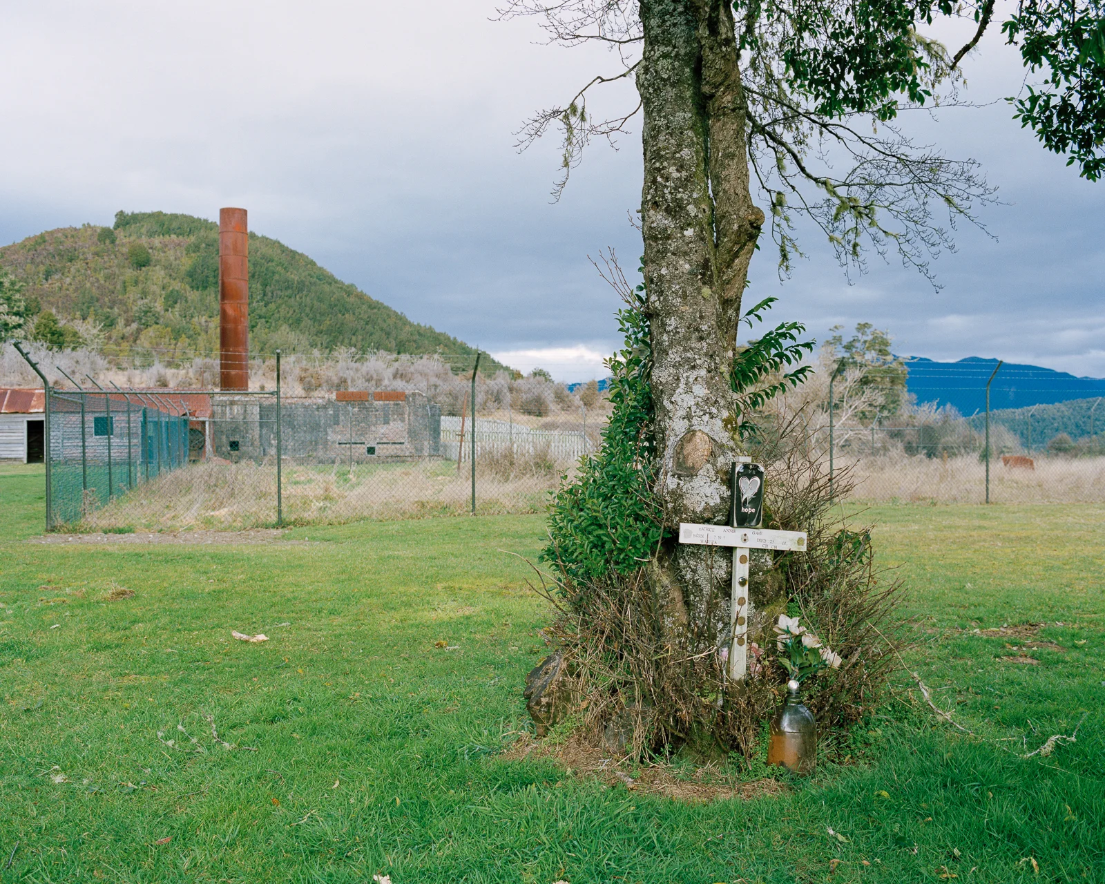 wtl-04.jpg