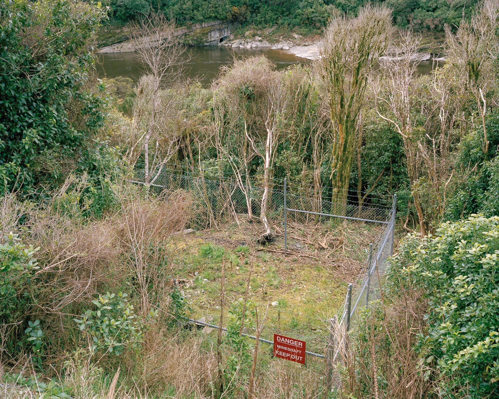 wtl-06.jpg