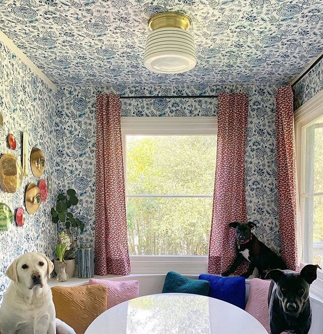 Three doggies in a kitchen nook 🐾 with our &ldquo;Florebela&rdquo; wallpaper! So honored that @hyggeandwest cofounder @christiana_hyggeandwest chose our wallpaper for her own home 💙 #tfxhw #dogsofinstagram #wallpaper #hyggeandwest
