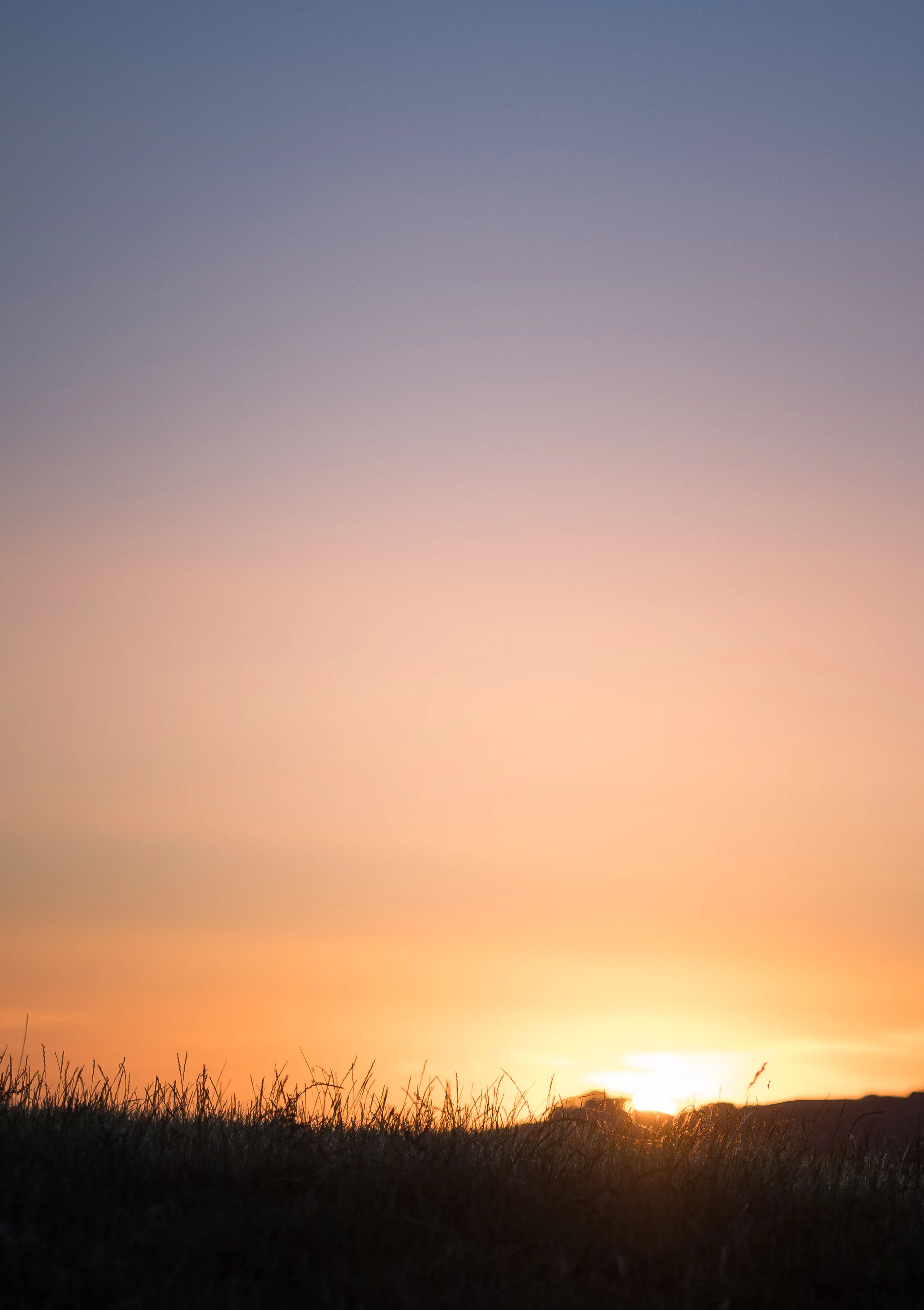 _D5C9790.jpg