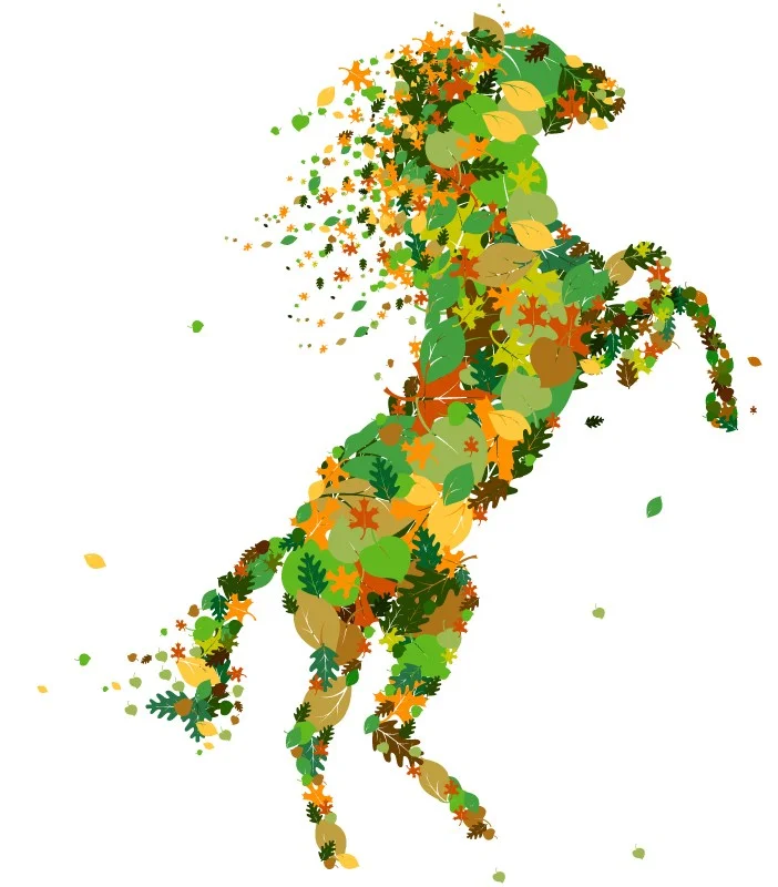 Melbourne Cup 2019 SOLD OUT — BRIDGEWATER