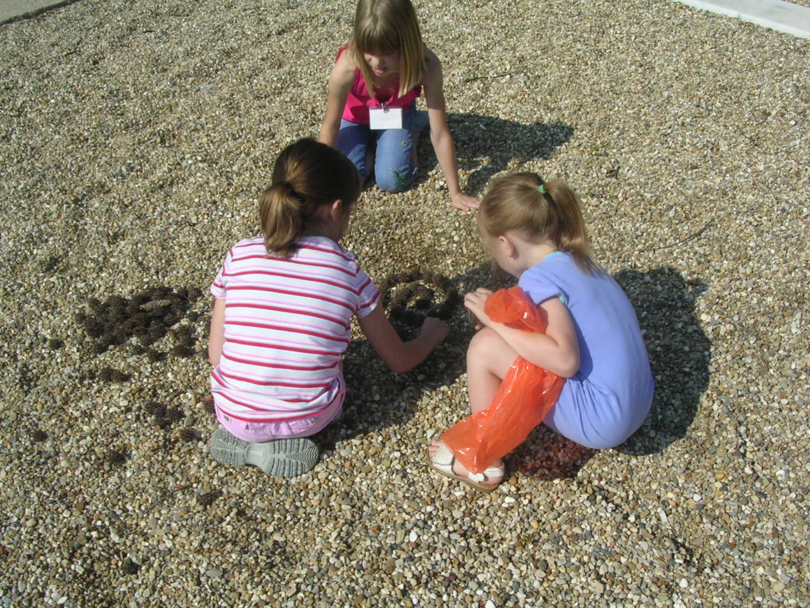DSCN2808.JPG