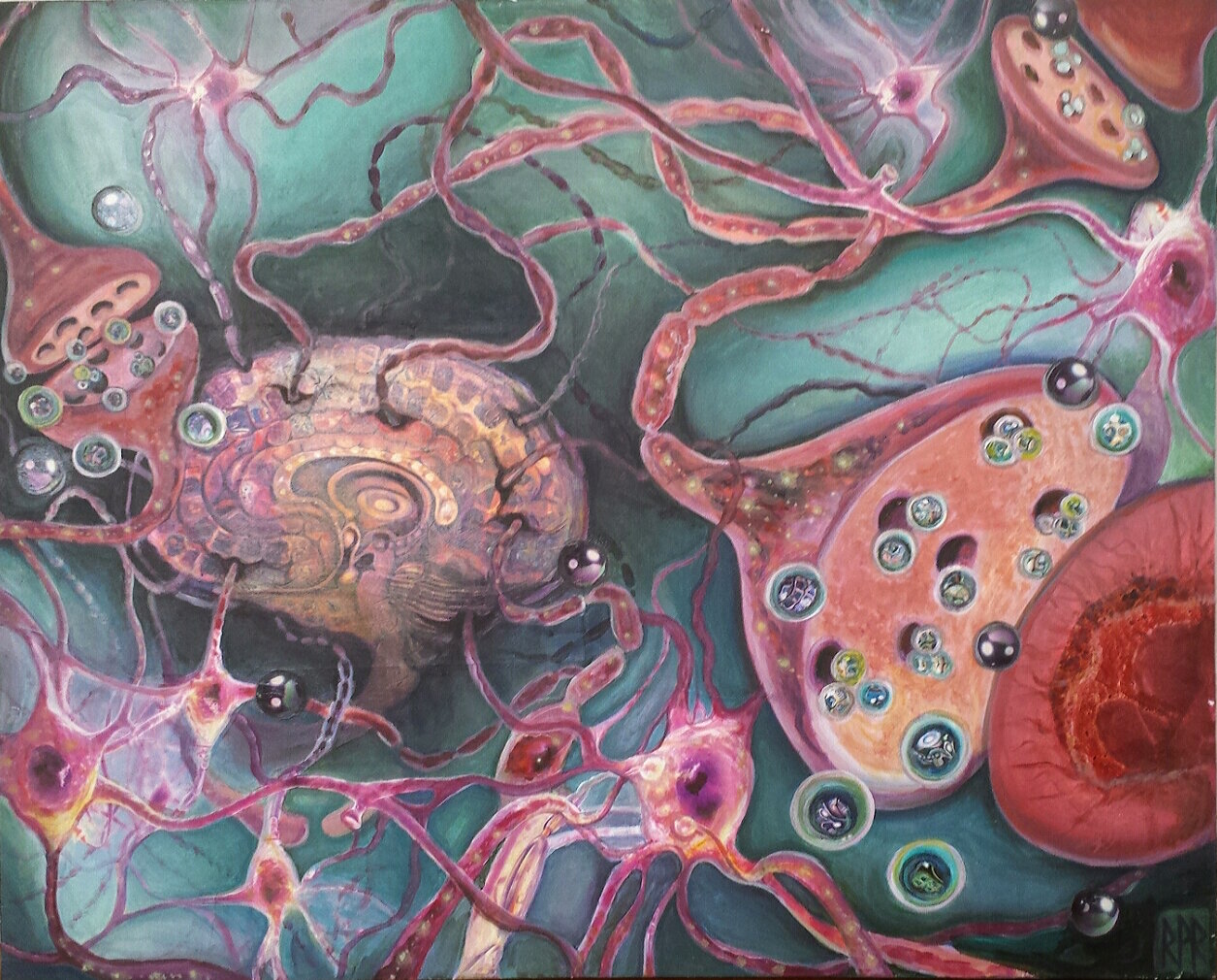 neuro cells.jpg