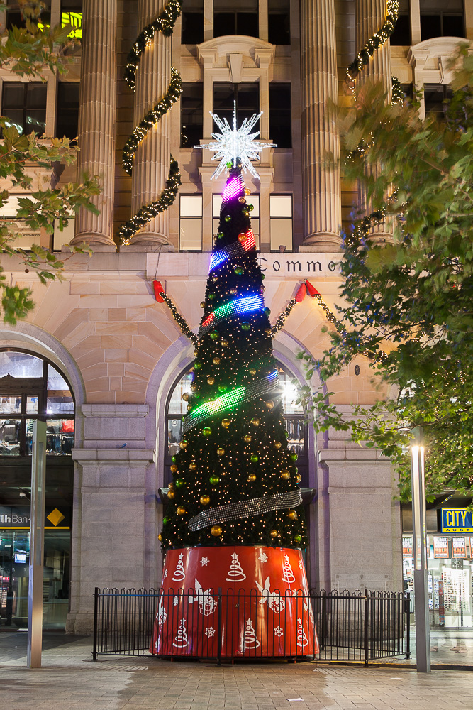 Christmas Lights Trail