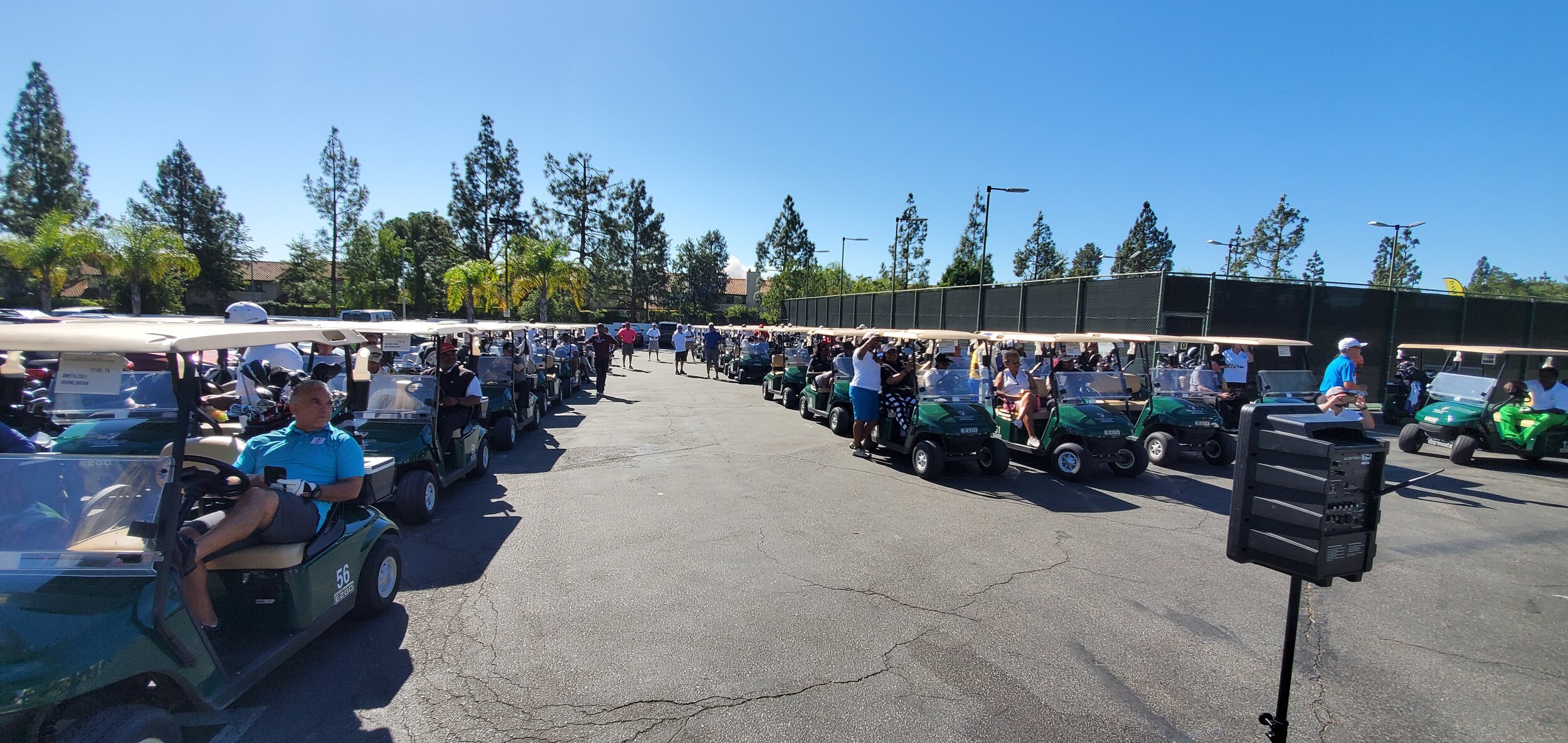 Golfers_golf carts.jpg