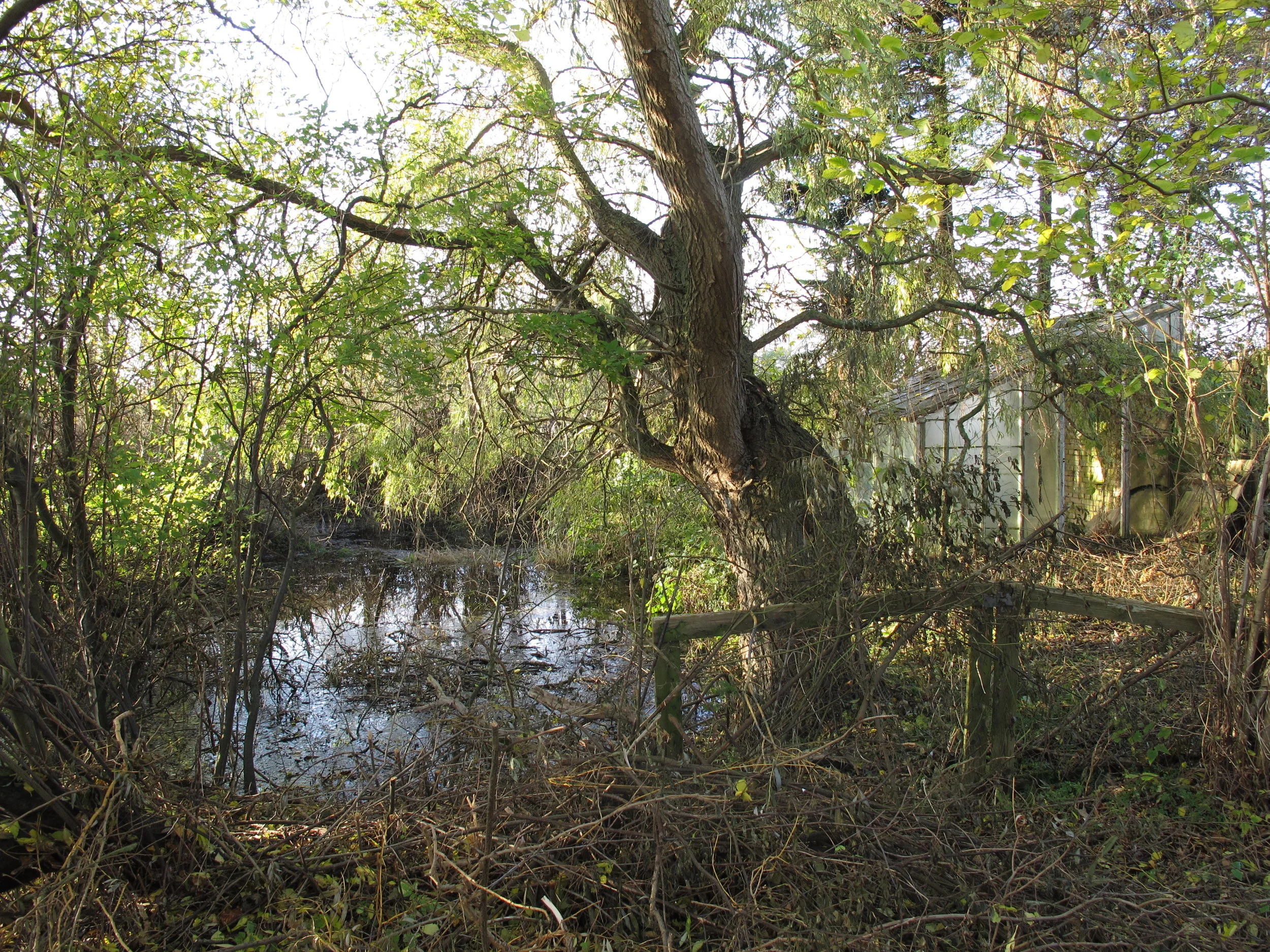 #3 Inden frosten rammer