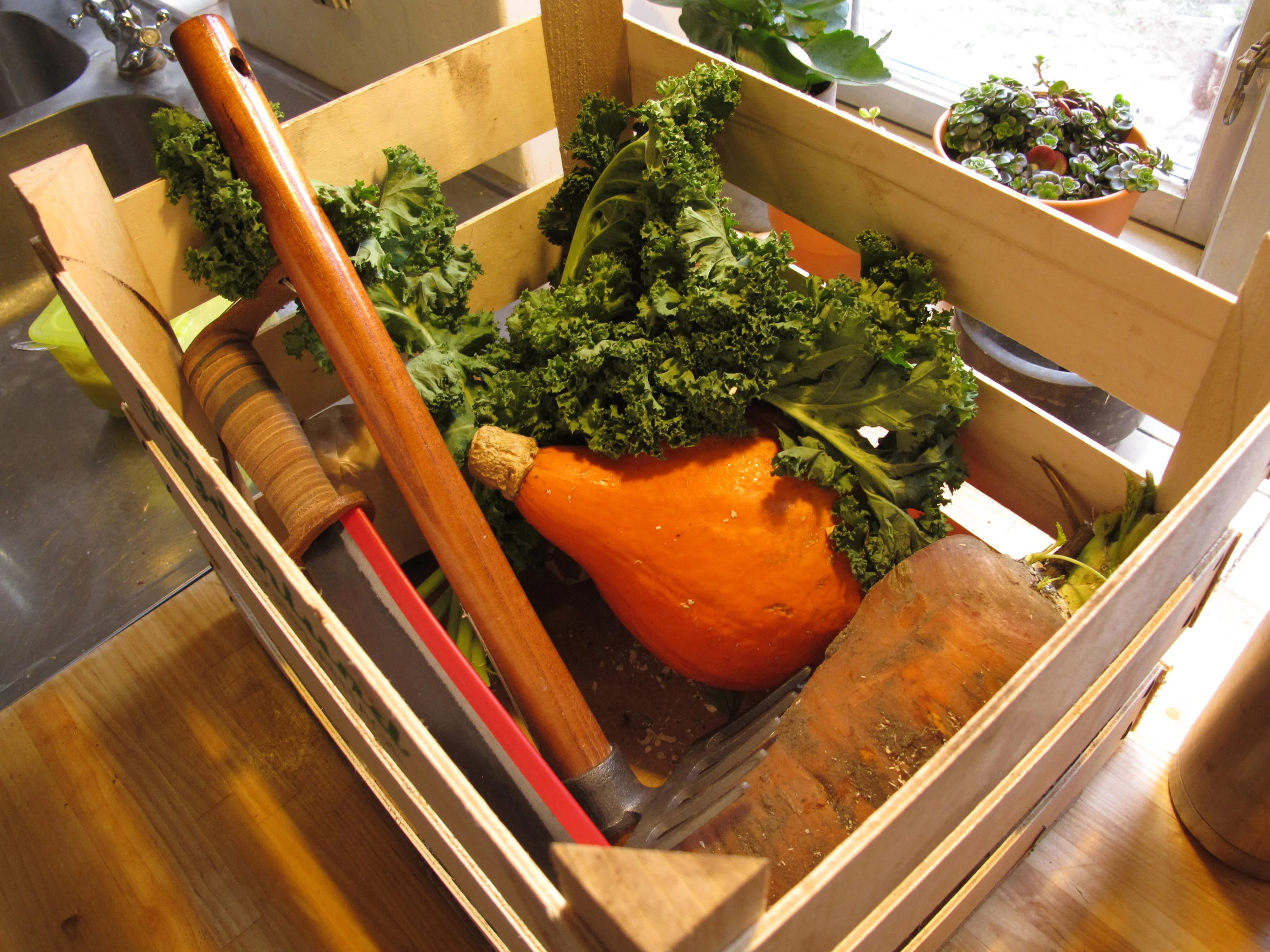 #4 Fra bybo til landbo