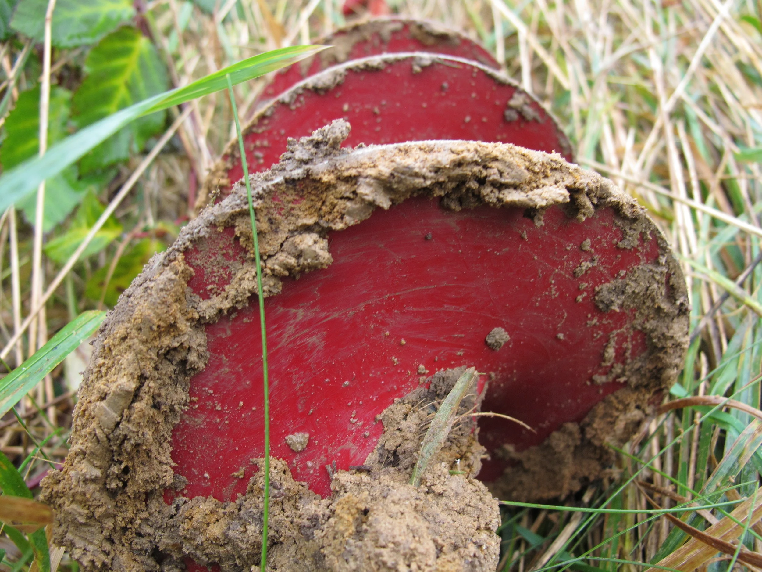 #5 Slid, slæb og bacon