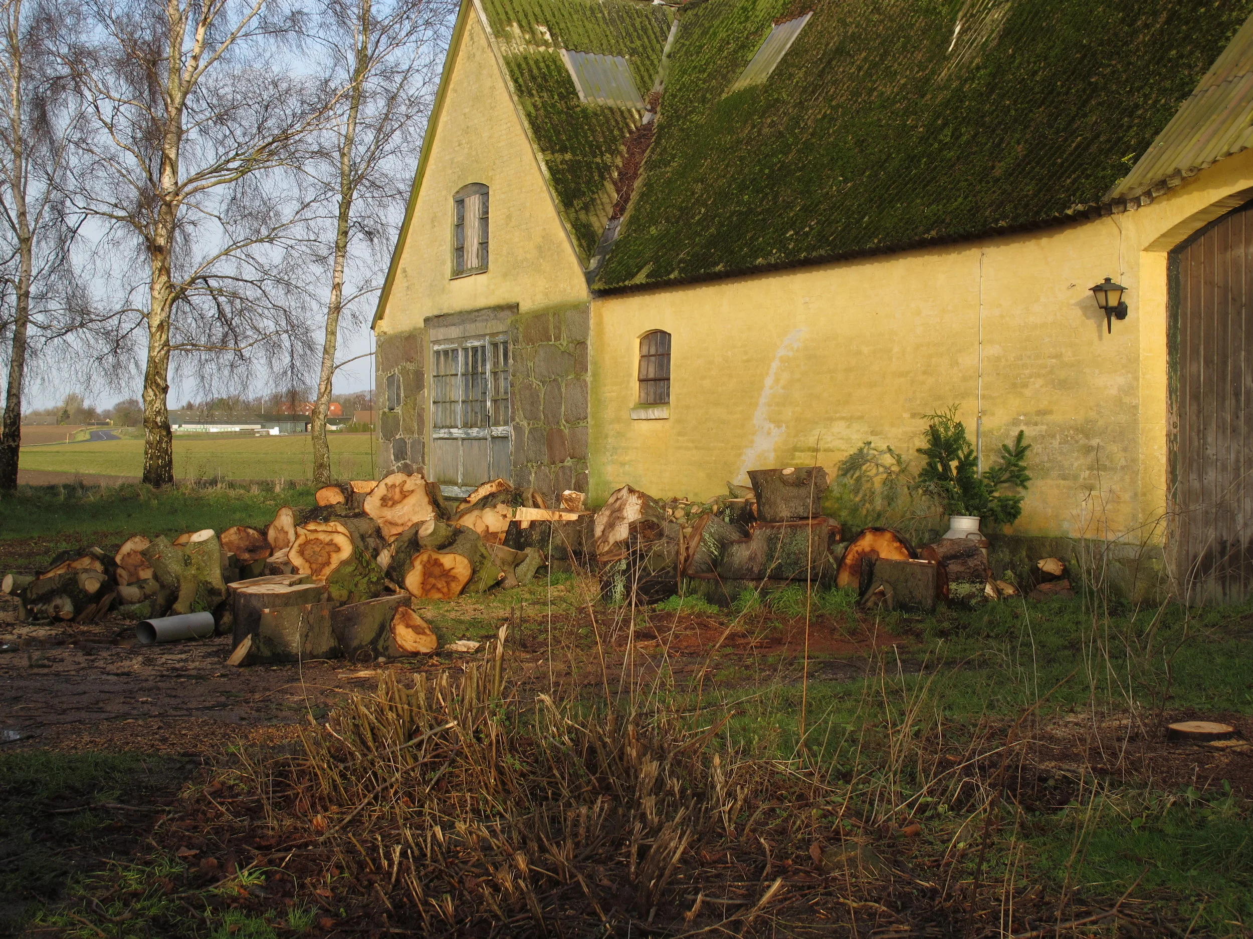 Her stod før tre store kastanjetræer, men de stod for tæt på huset og var rådne i stammen, så de måtte desværre ryge.
