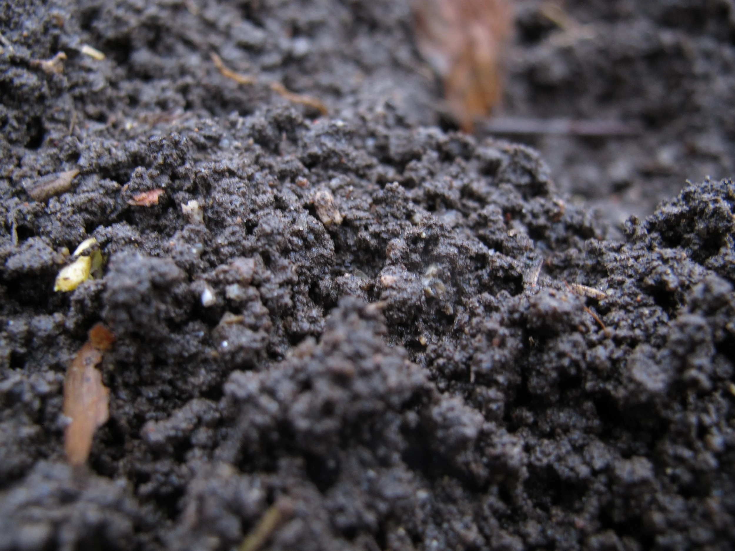 #13 Grøntsager året rundt