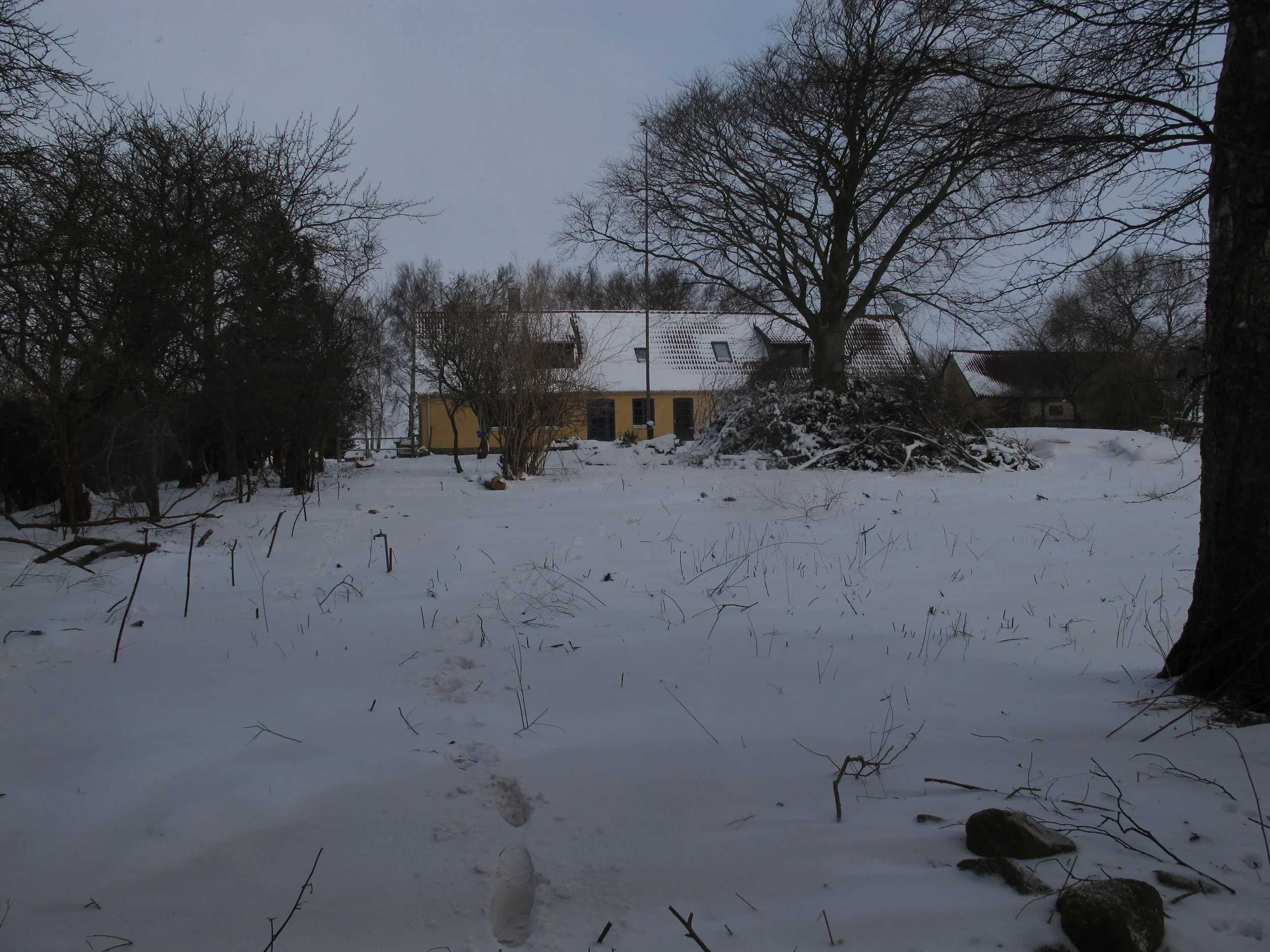 #14 Sneet inde og låst ude