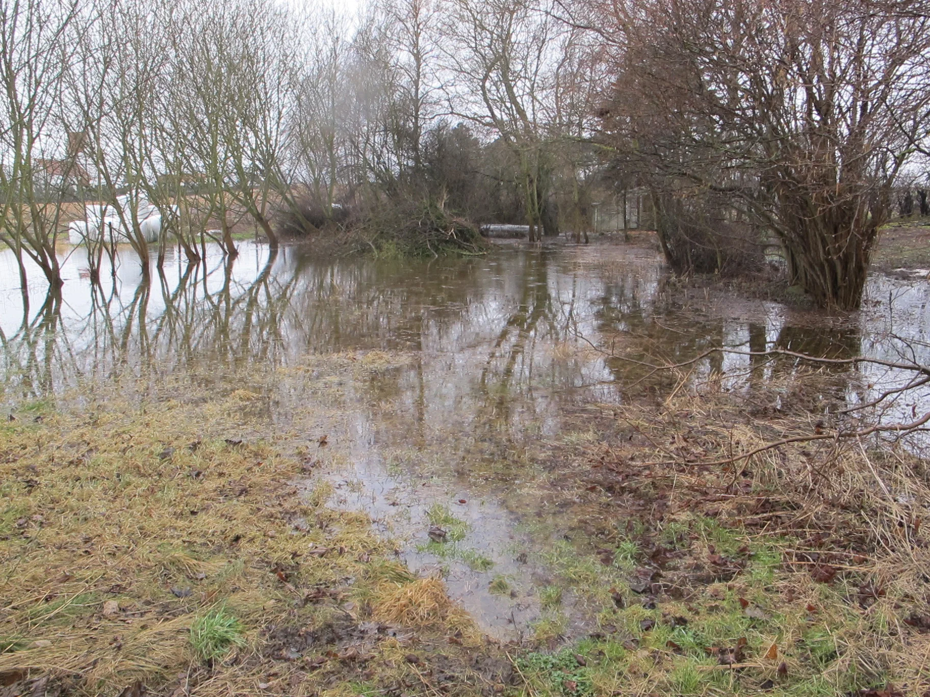 #15 I vand til halsen