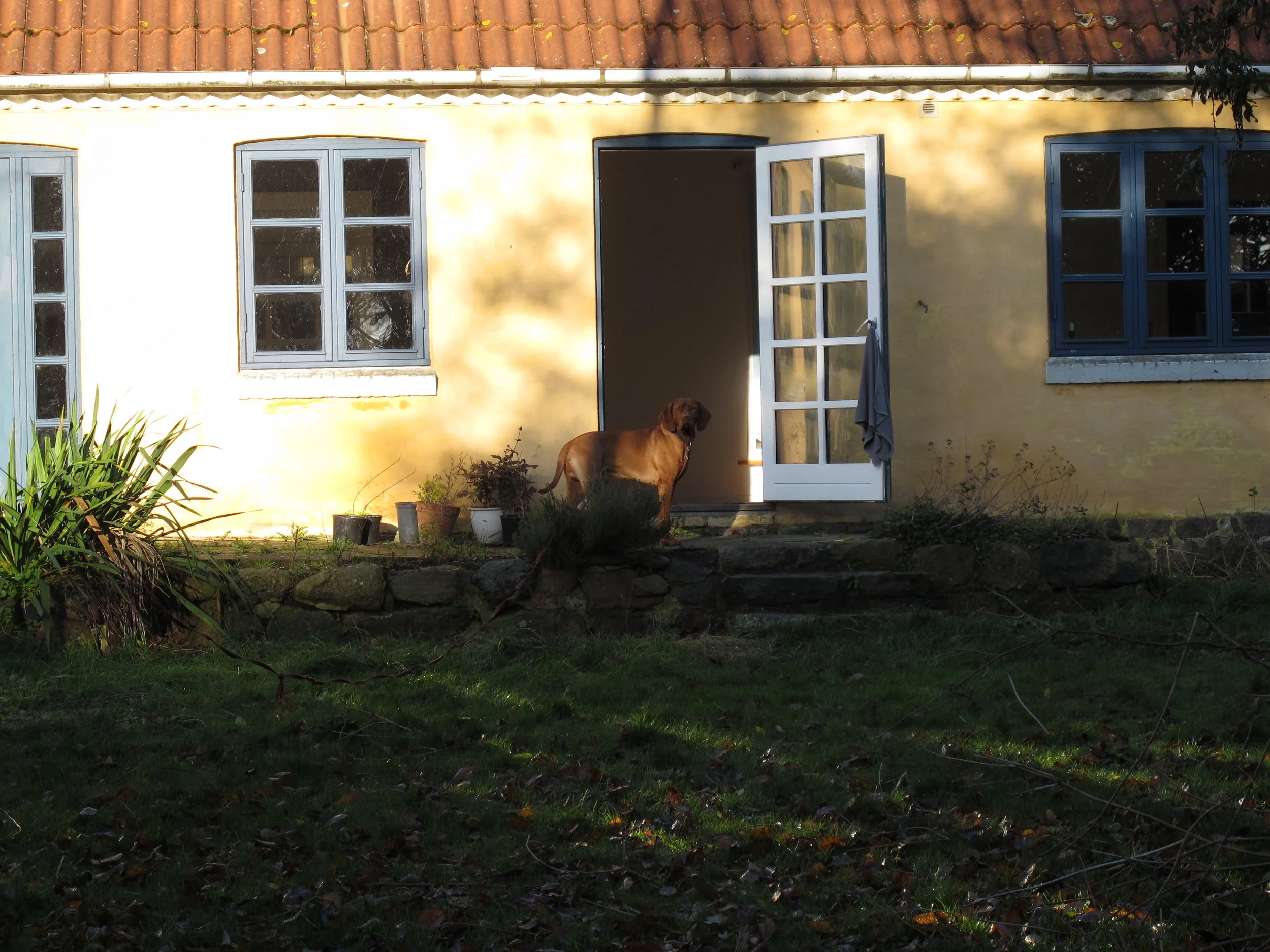 #19 Møntens to sider