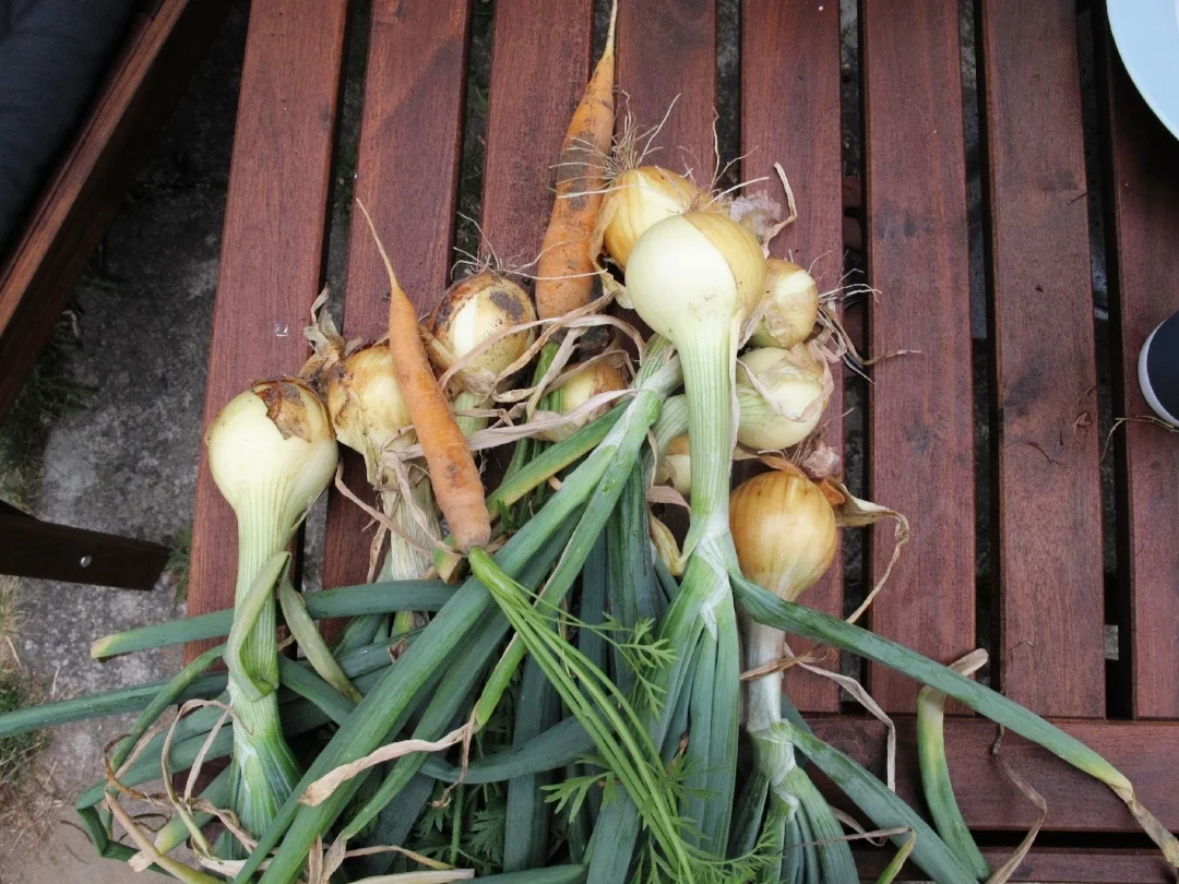 #27 Jubilæumsnummer del 1