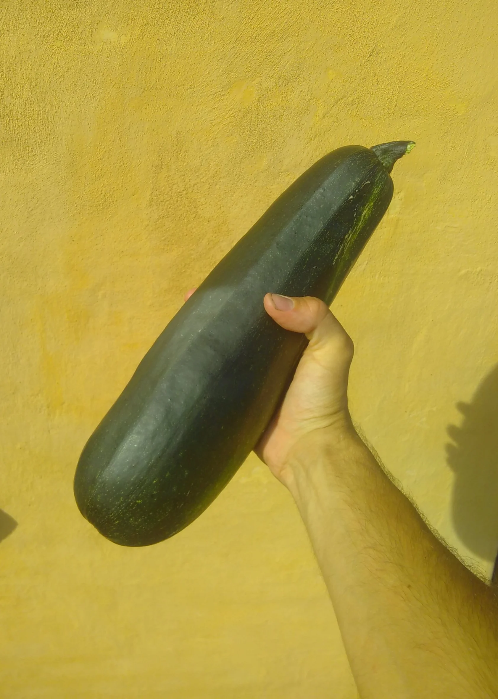 Denne squash er 1,3 kilo ren stolthed.