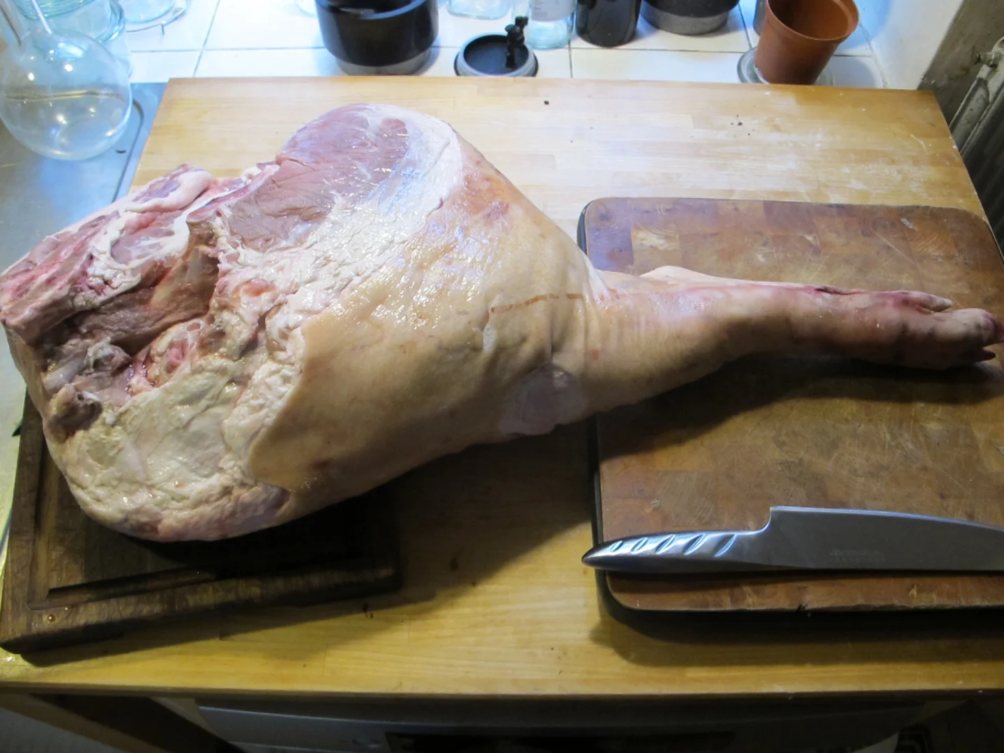 #33 Jagten på den iberiske sortfod