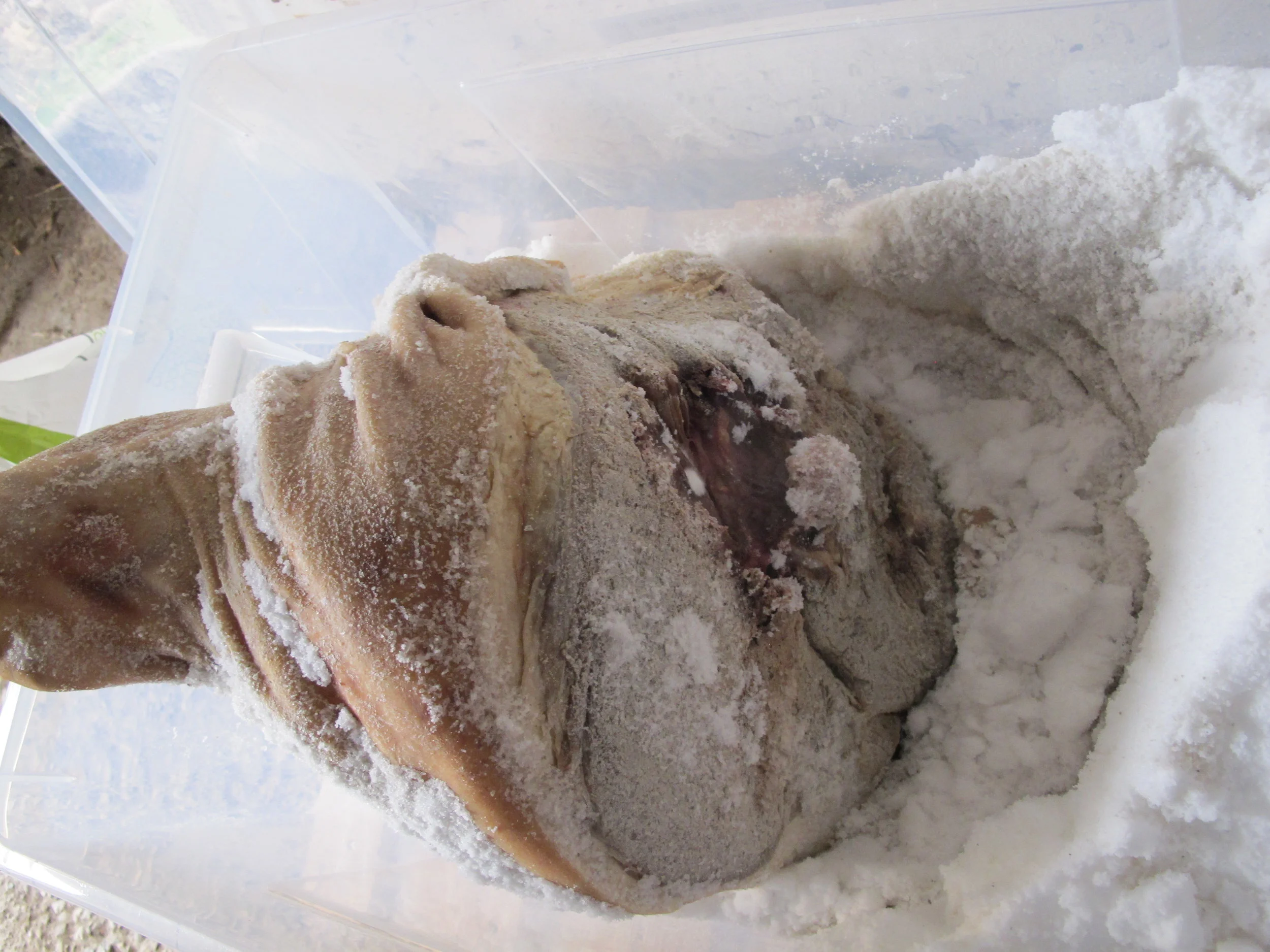 #35 At følge mod strømmen