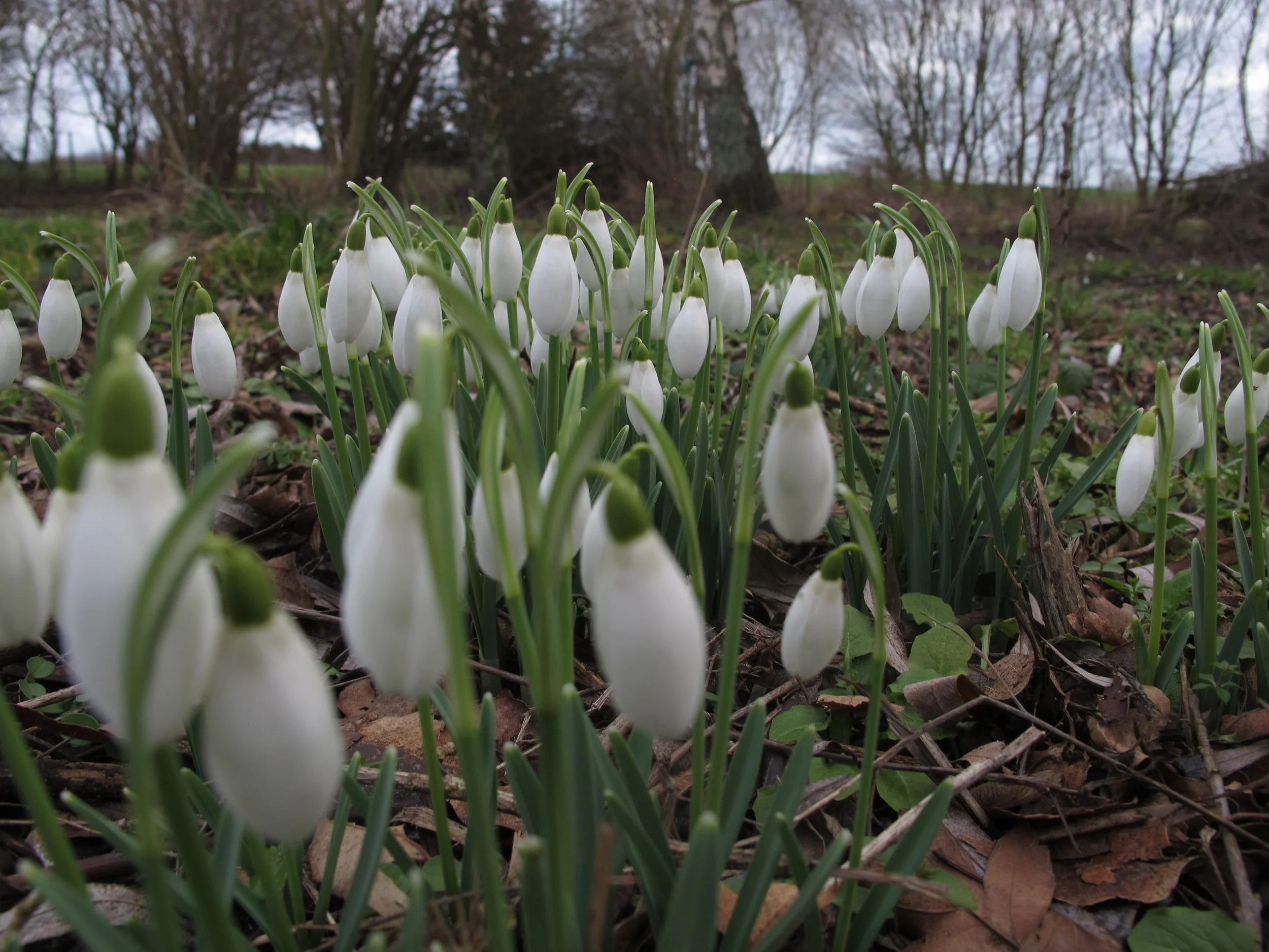 #36 Nyt år, nye muligheder