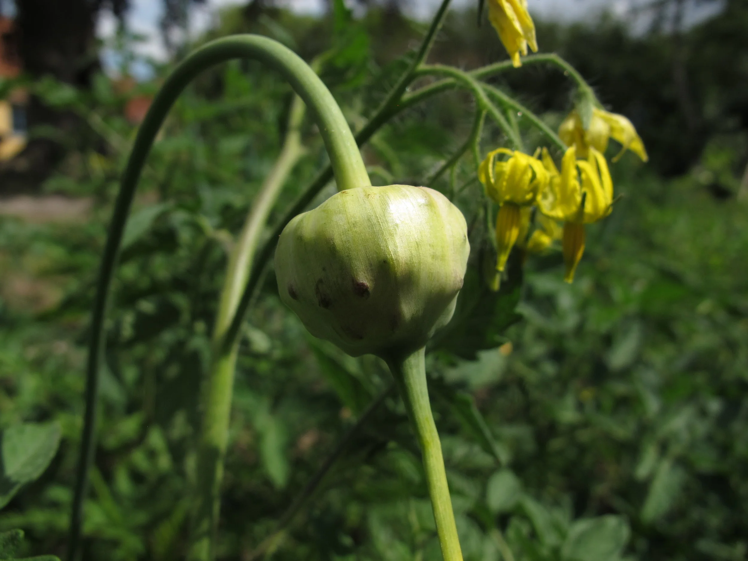 #44 De dyre lærepenge kaster noget af sig