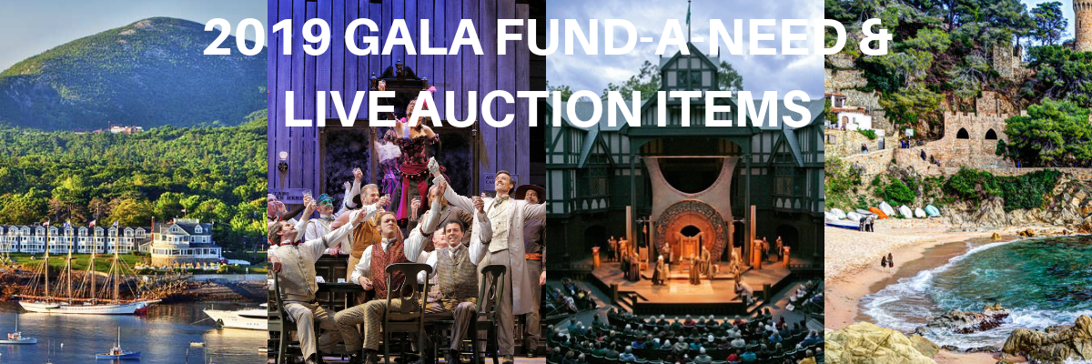 Gala Fund-A-Need (1).png