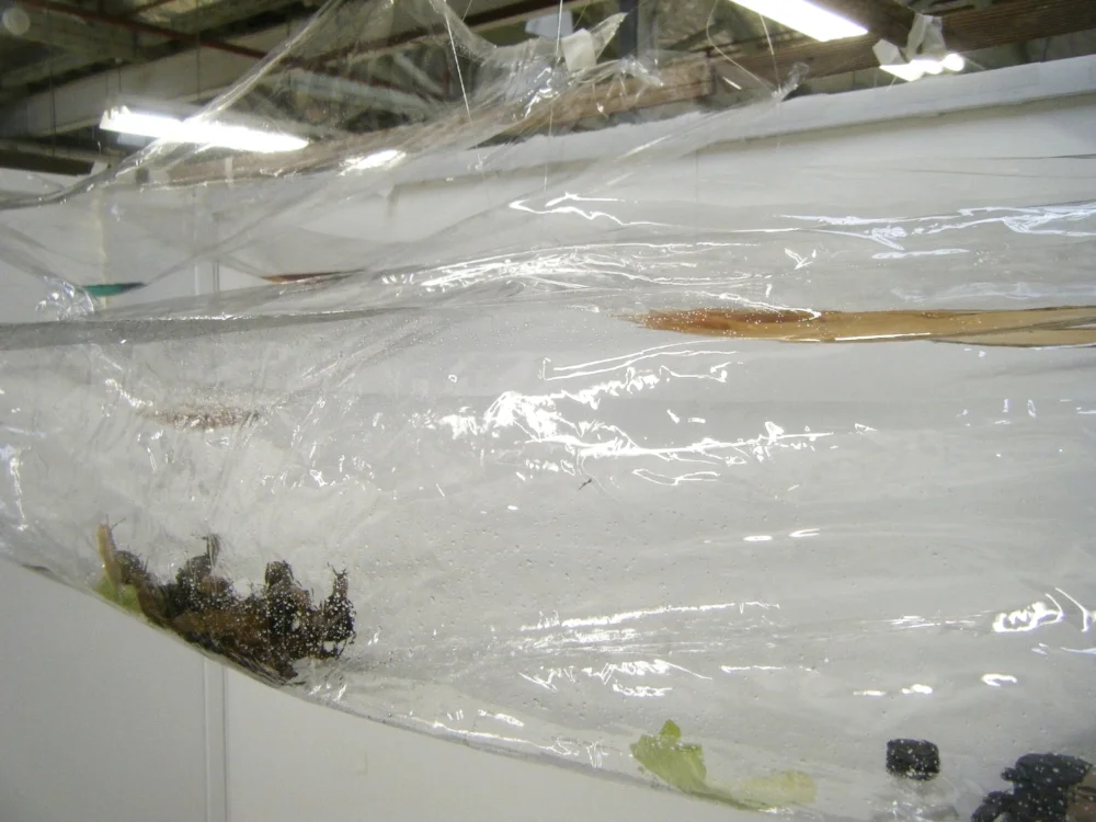 DSCF2279.jpg