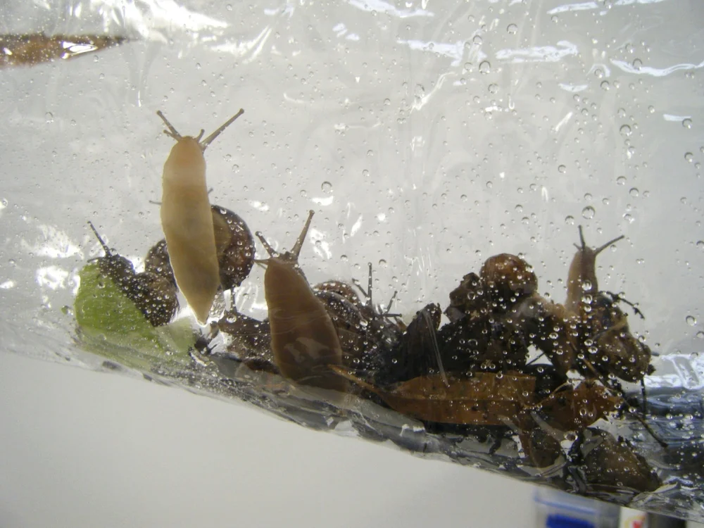 DSCF2280.jpg