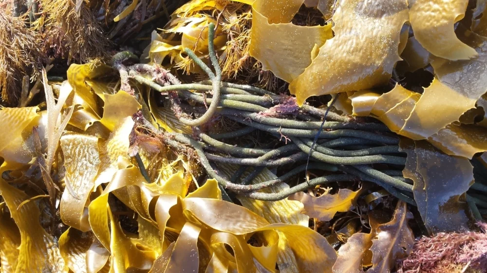 20160302_083544.jpg