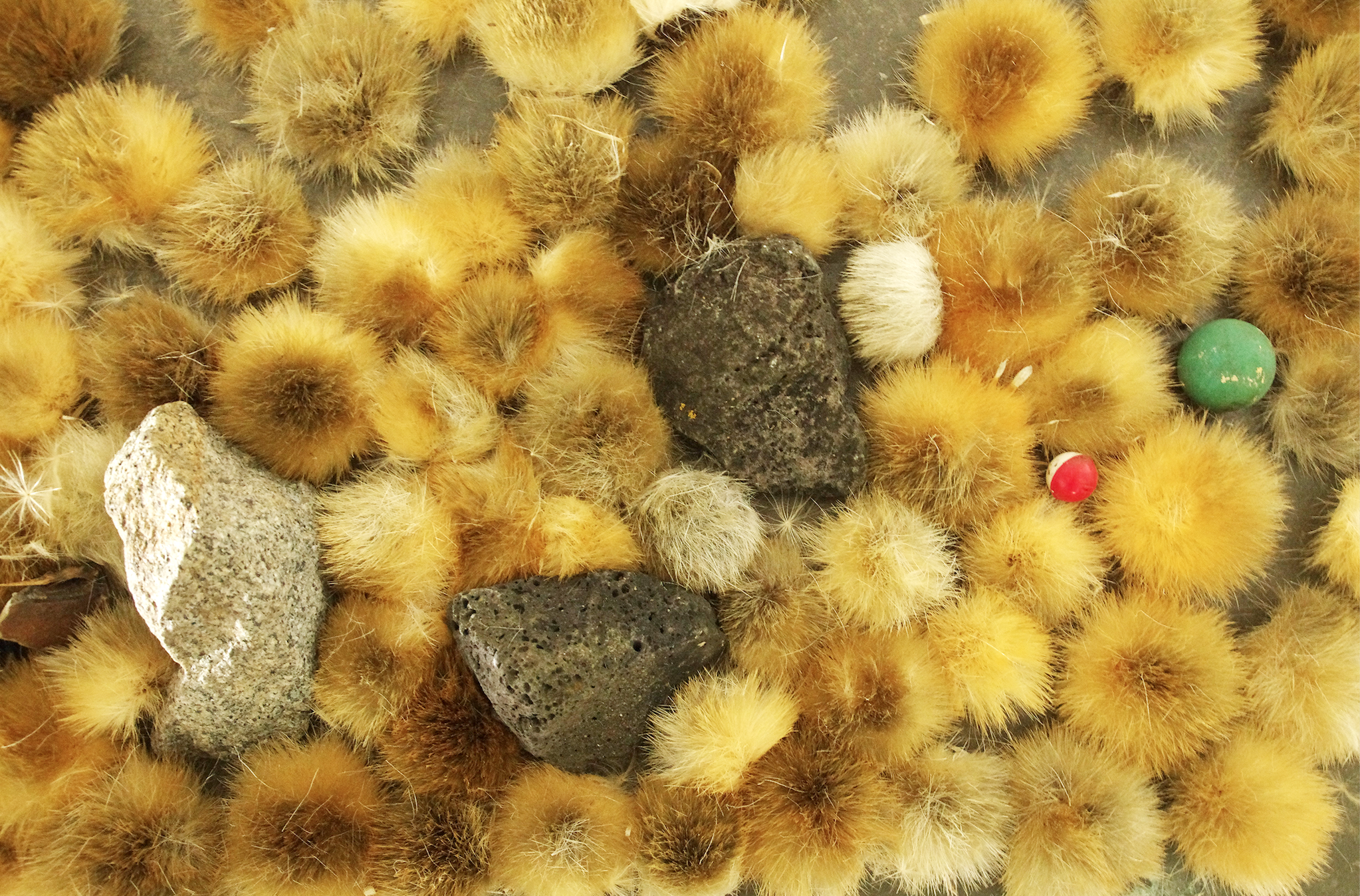 'thistles, rocks and balls' detail of 'Being There' a colaberative work with Leanne Waterhouse and Zeljko Radic 2017