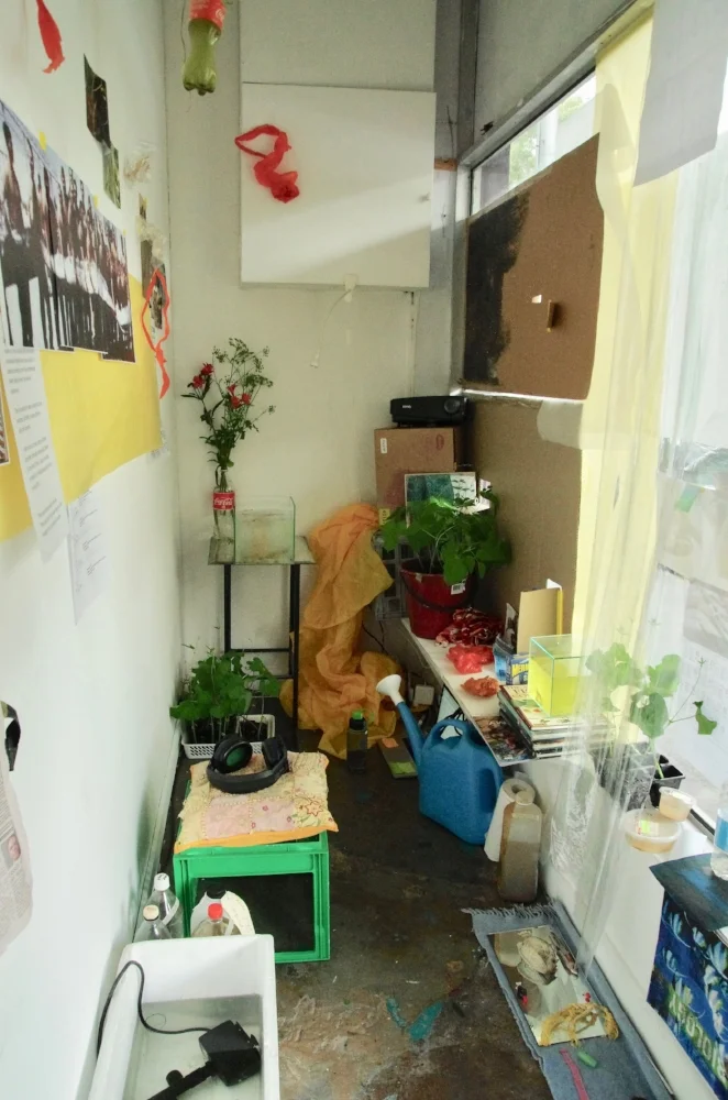 IMGP0315.jpg