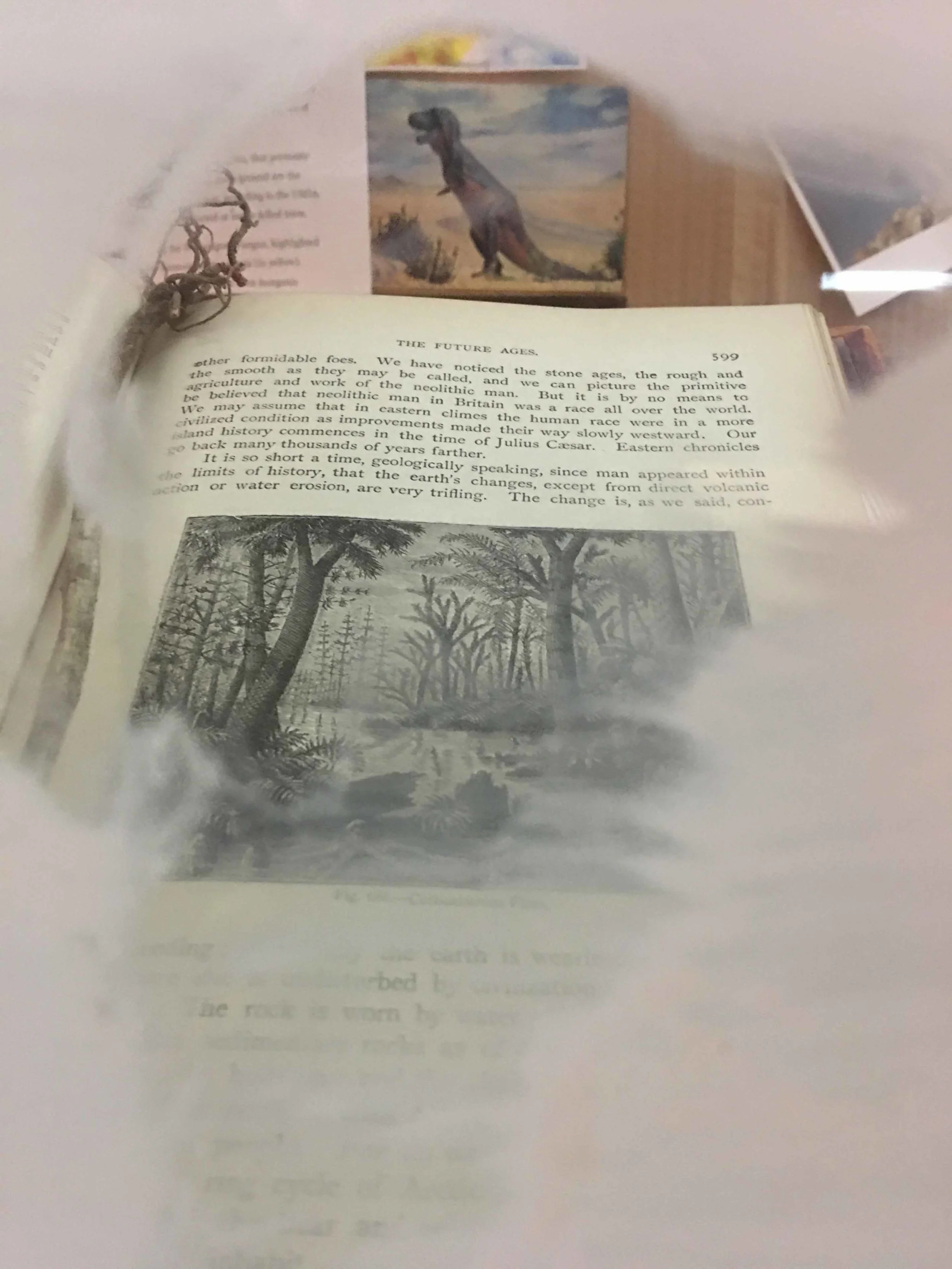 cbooks under.jpg