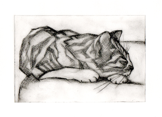 Smudge Sleeping (d/p)