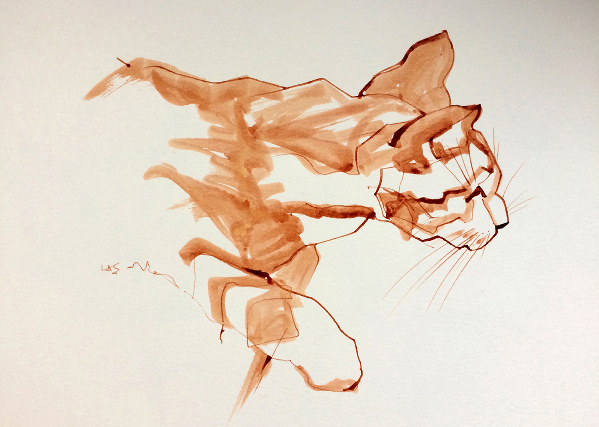 Brown Brush Cat Prowling