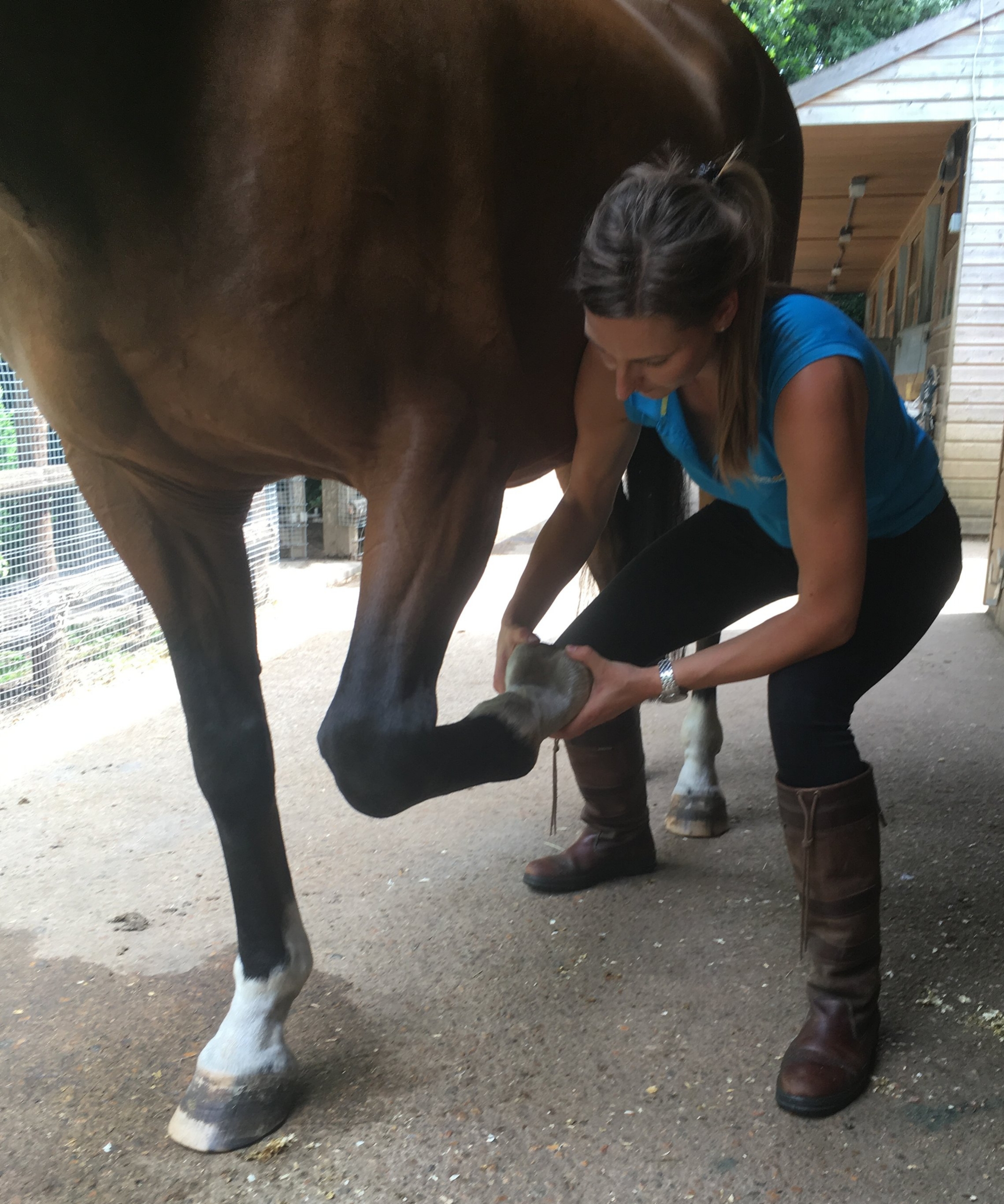 osteopathic treatment of pastern