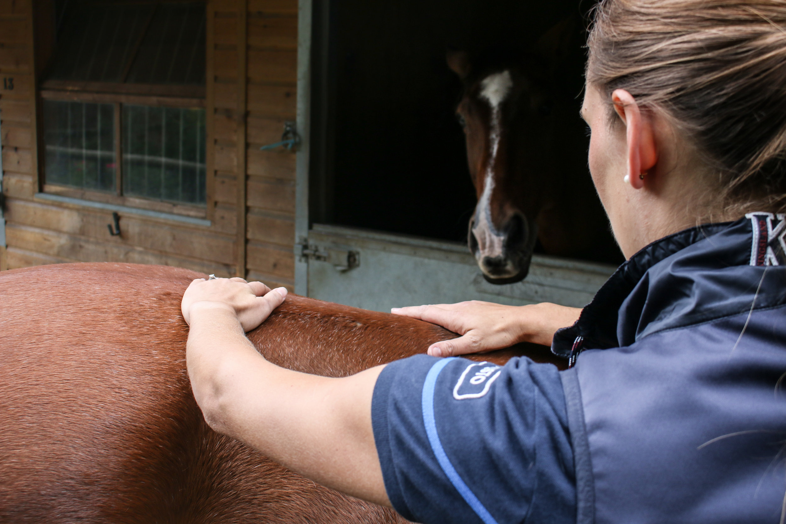 Horse back manipulation