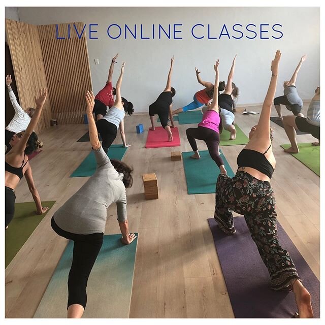 Virtually together 💙
Join us online, classes for everyone. Discovery members earn 100 Discovery Vitality points per class.
WEDNESDAY:
7.30am Open Level with @kirsti_gwyn 
12.30pm Open Level with @yogaplay.za 
5.30pm Yin Yoga with @capetownyogi 
THUR