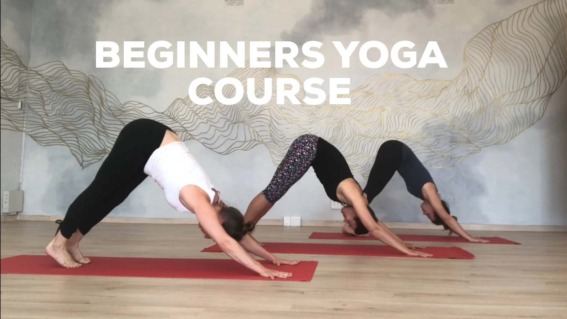 Beginners Course (12-26 October)
