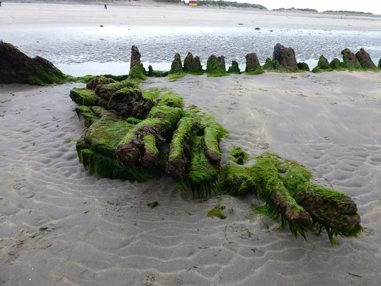 The Streedagh Wrecks