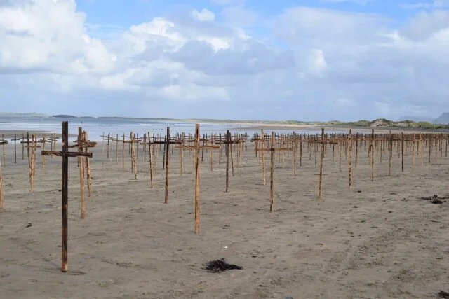 Spanish Armada Festival Goes Online This September