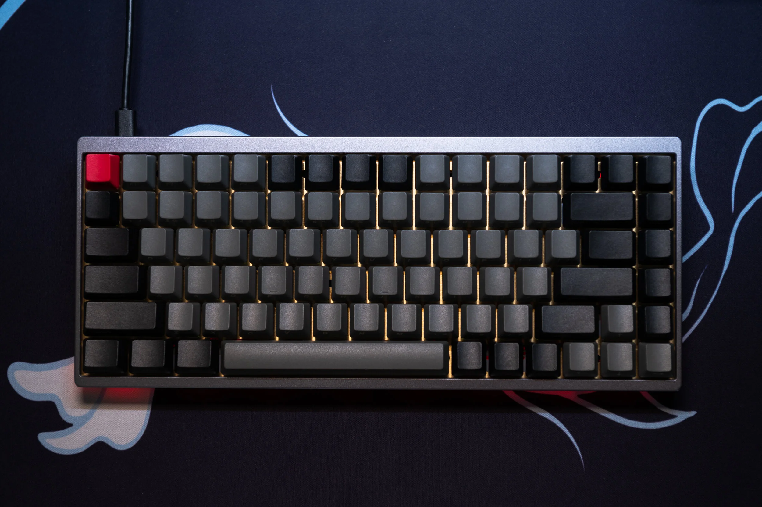 KBD75v2- Kiwis-3.jpg