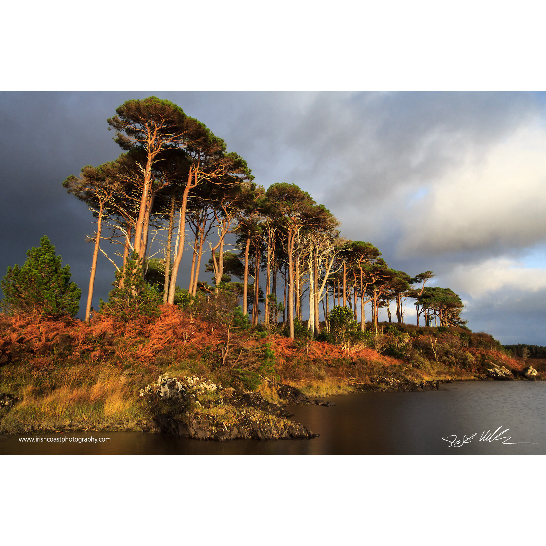 print-sunset-04.jpg