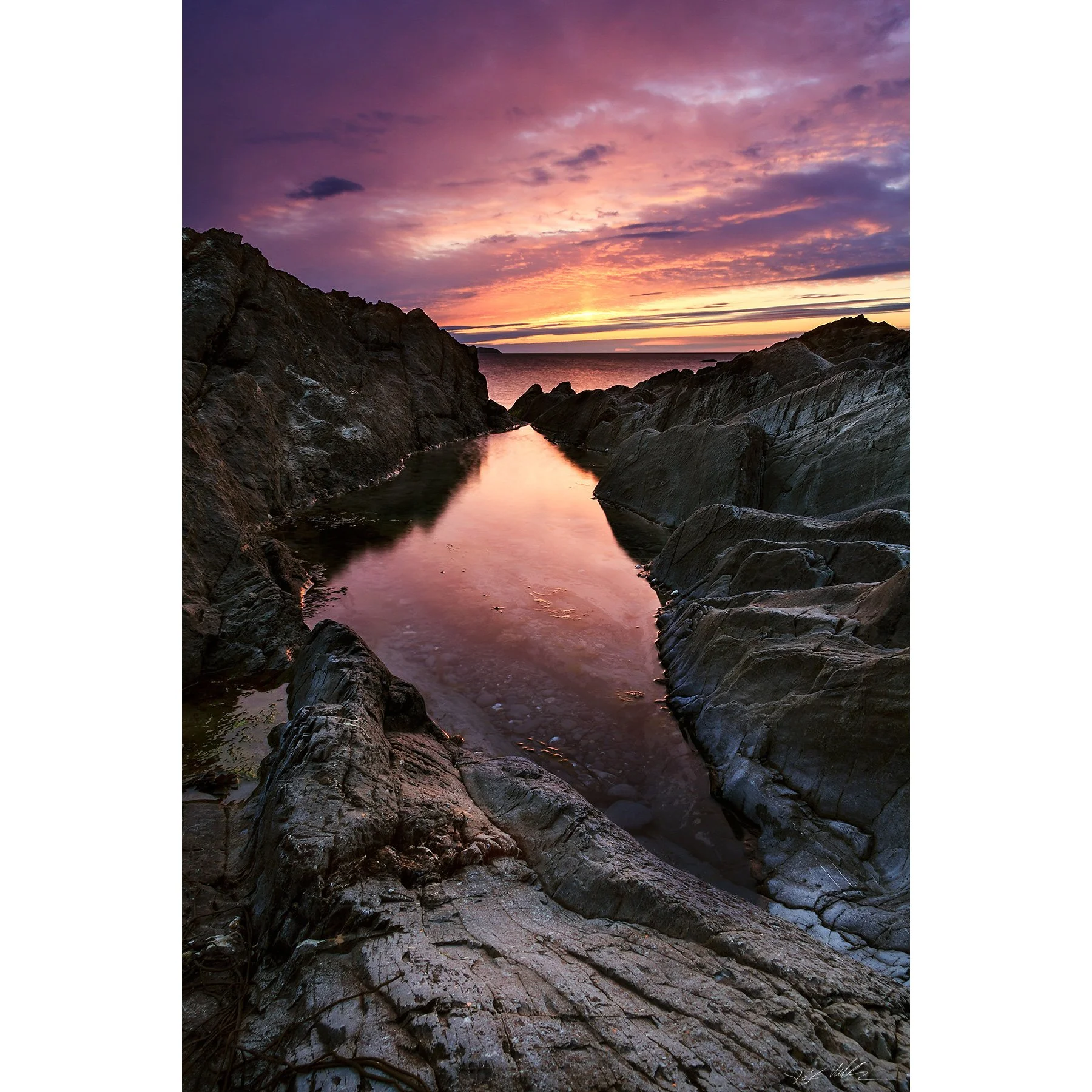 Mayo - Devlin purple.jpg