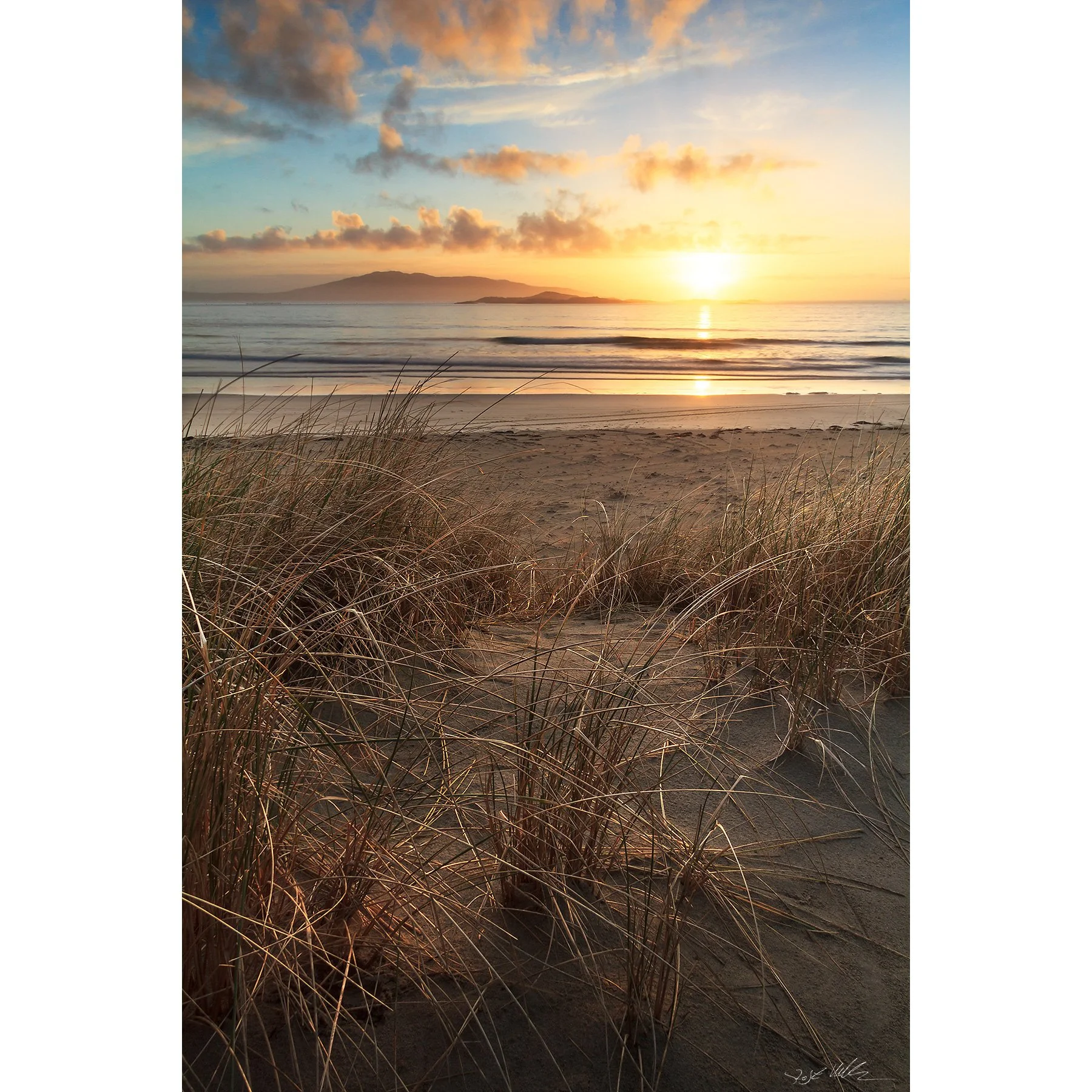 Mayo - silver strand grass.jpg