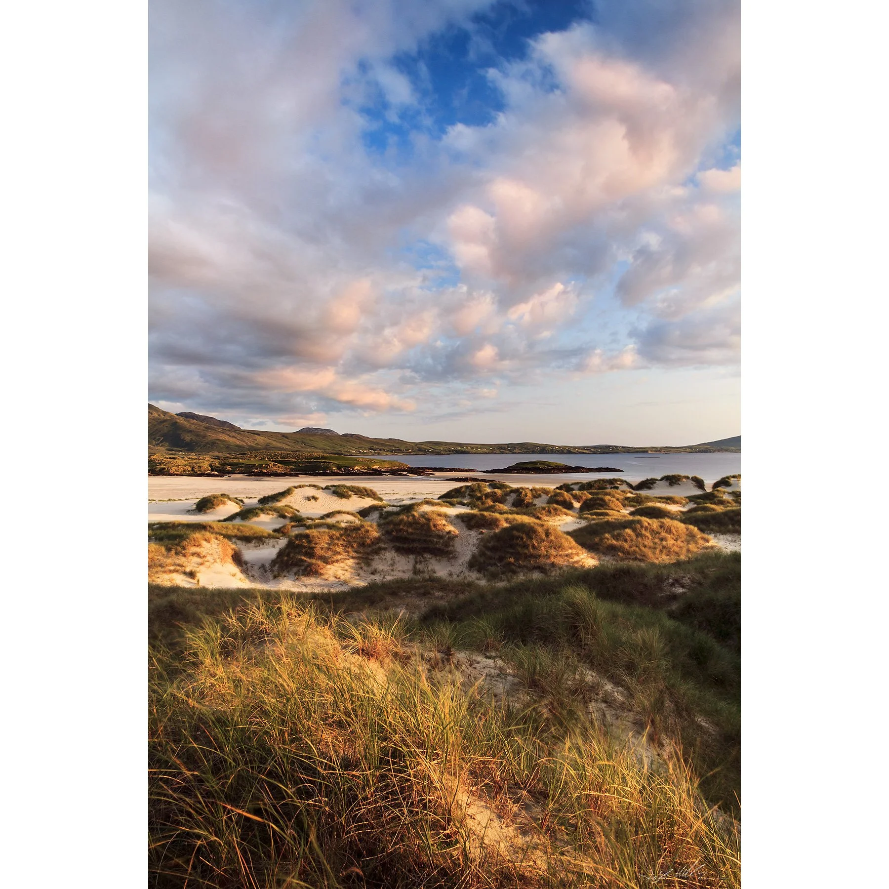 Mayo - Silver Strand dunes.jpg
