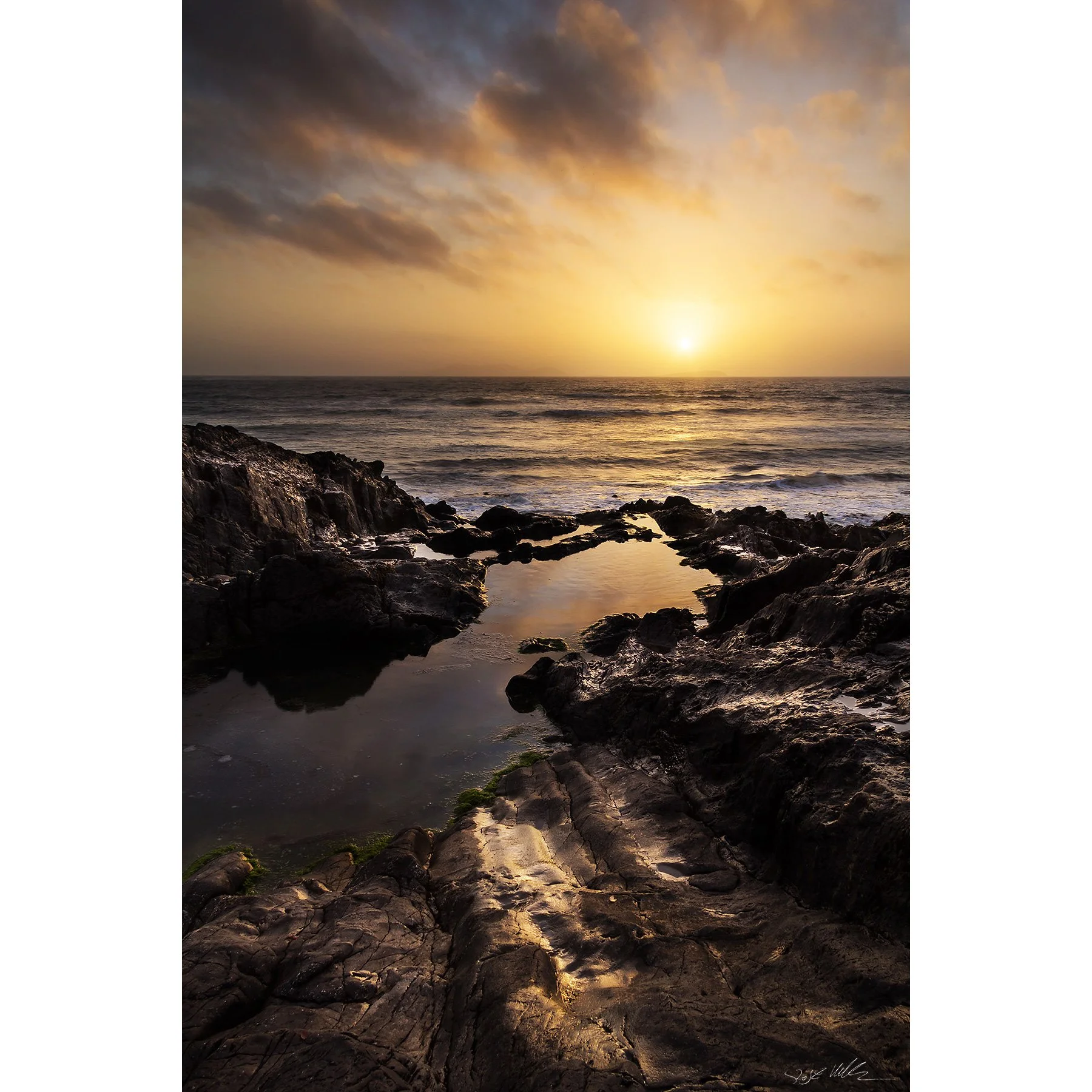 Mayo - Devlin yellow.jpg