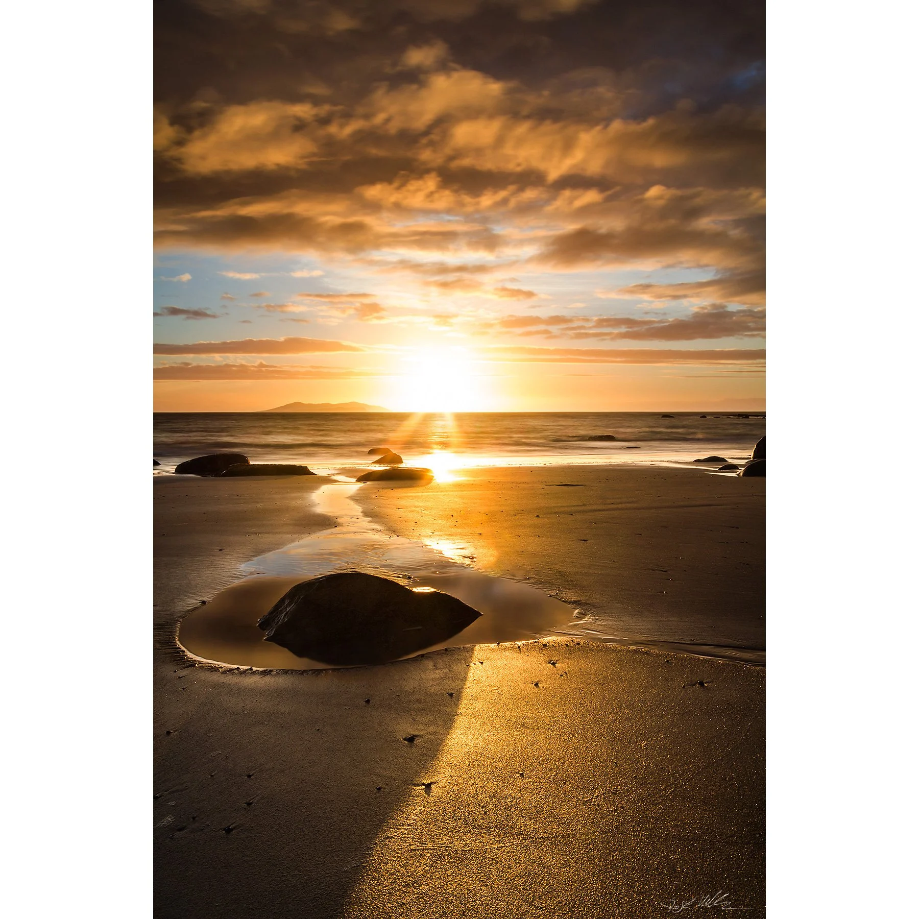 Mayo - Doughmakeon puddle.jpg