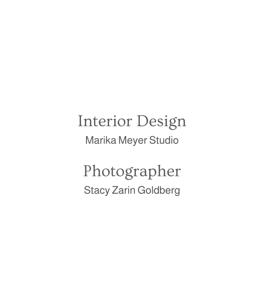 TDBI Website project partners.png
