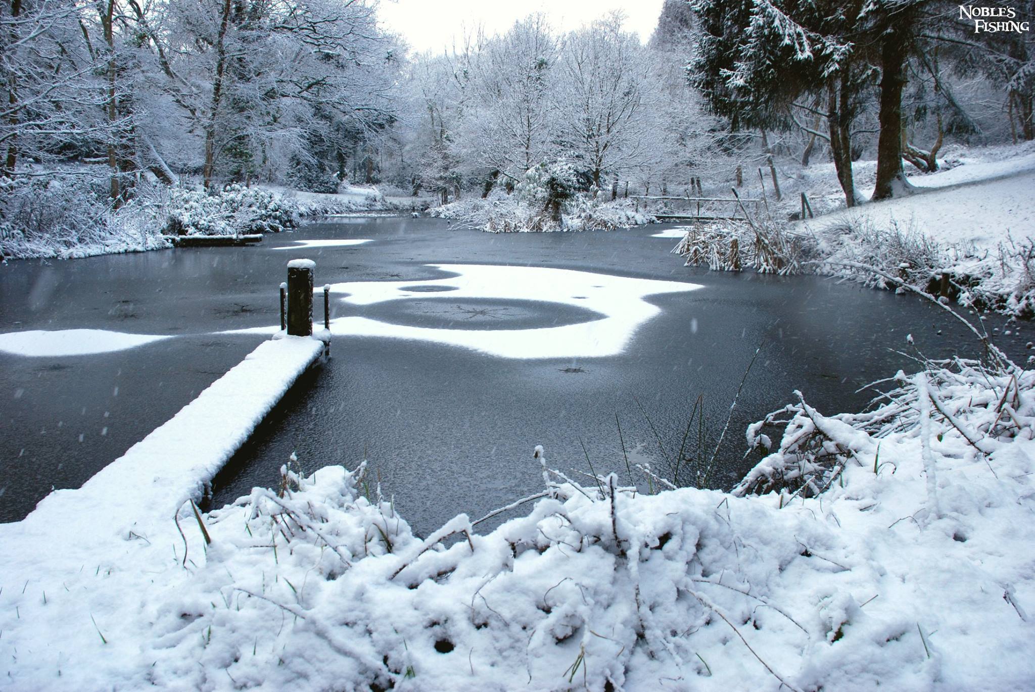   The lake in winter.  