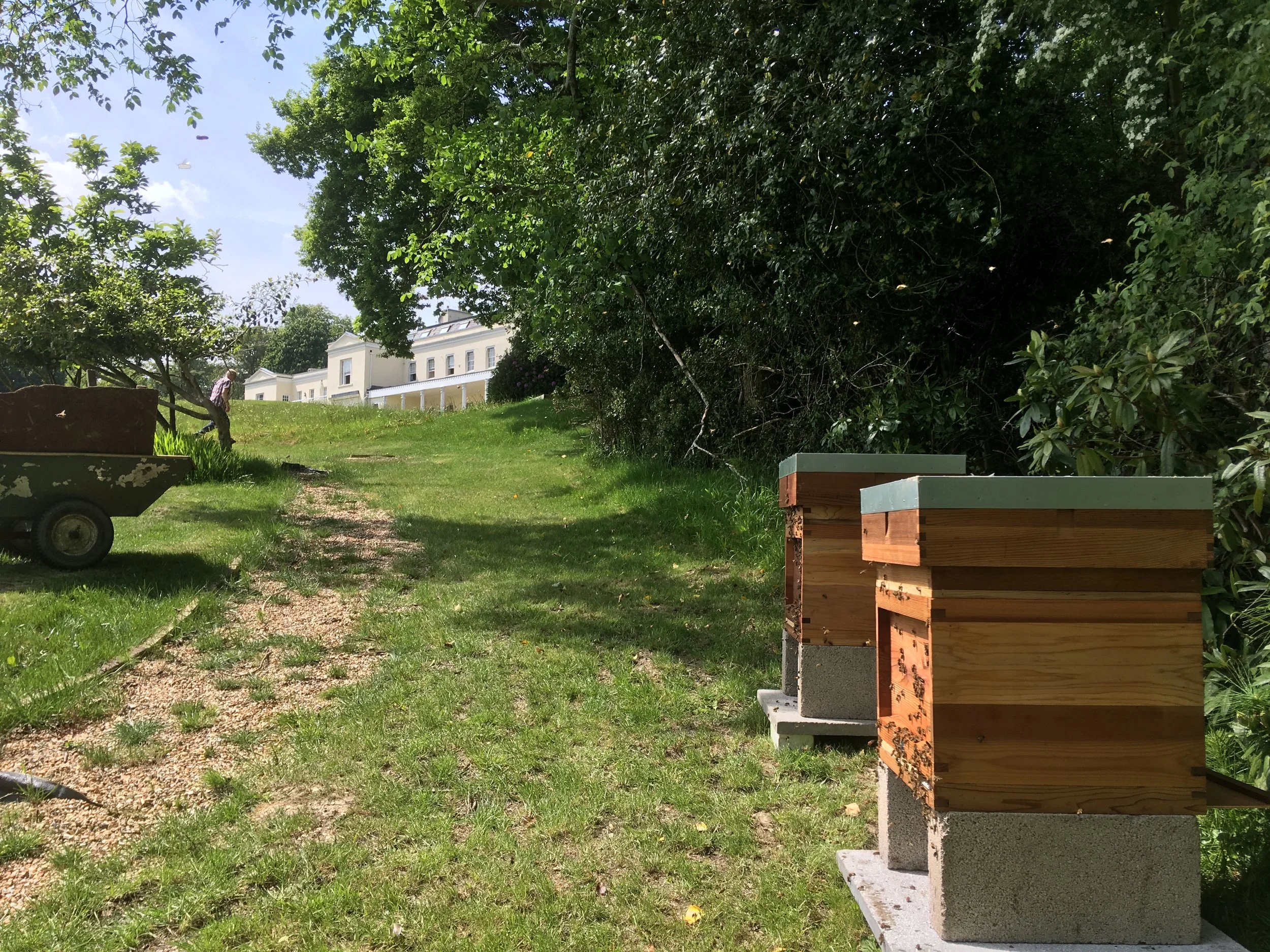 We look after beehives for residents at Northerwood House in The New Forest.