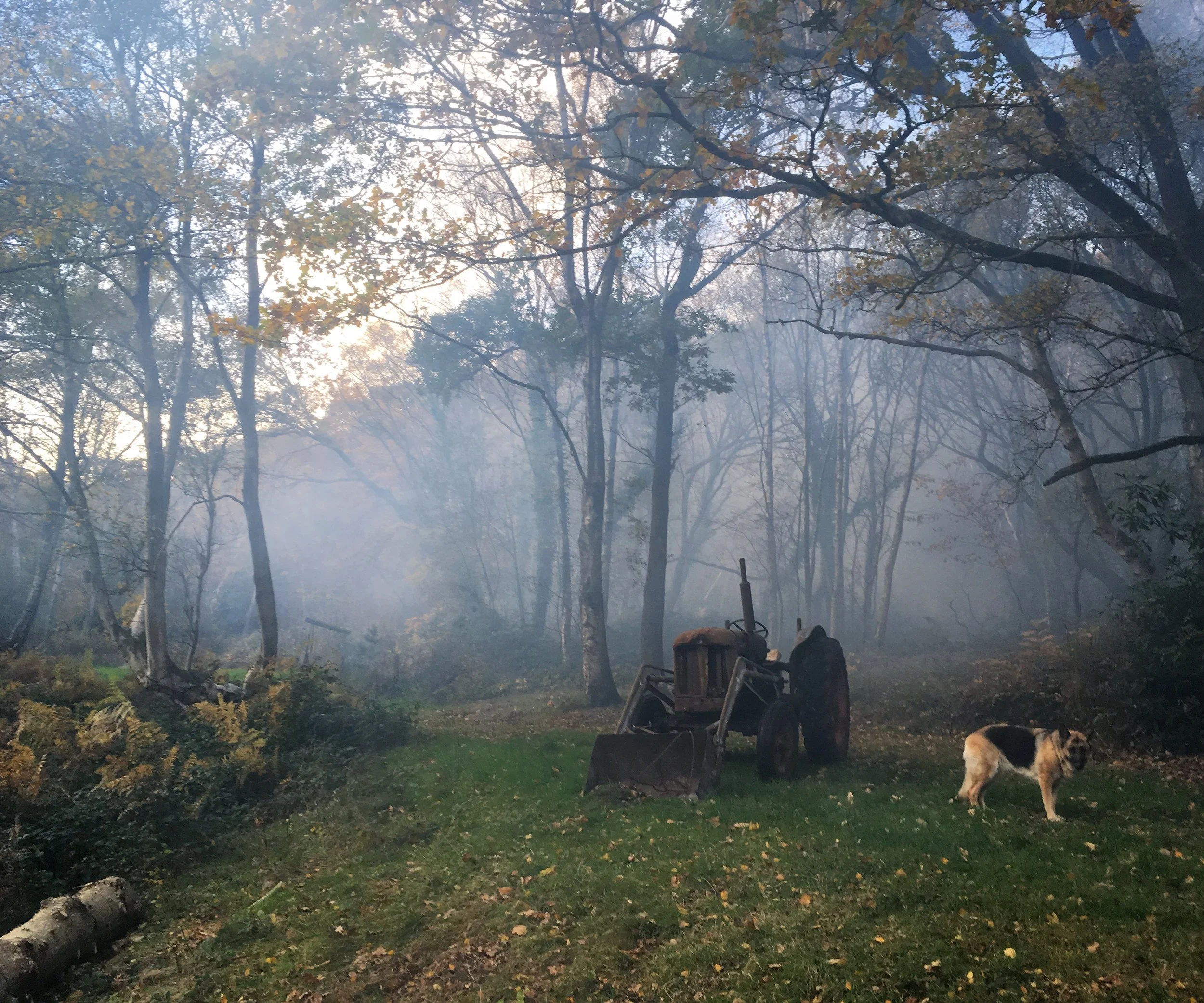 The Old Fordson Major an important member of the team. Photo by Martin Noble.
